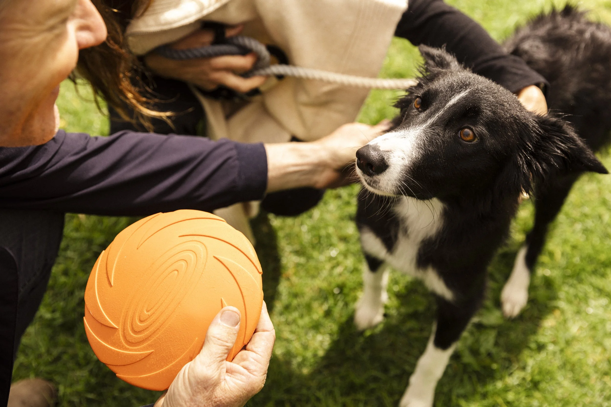 14-California-Commercial-Photographer-Lifestyle-San-Francisco-Treasure-Island-frisbee-dog-playful-sunny.jpg