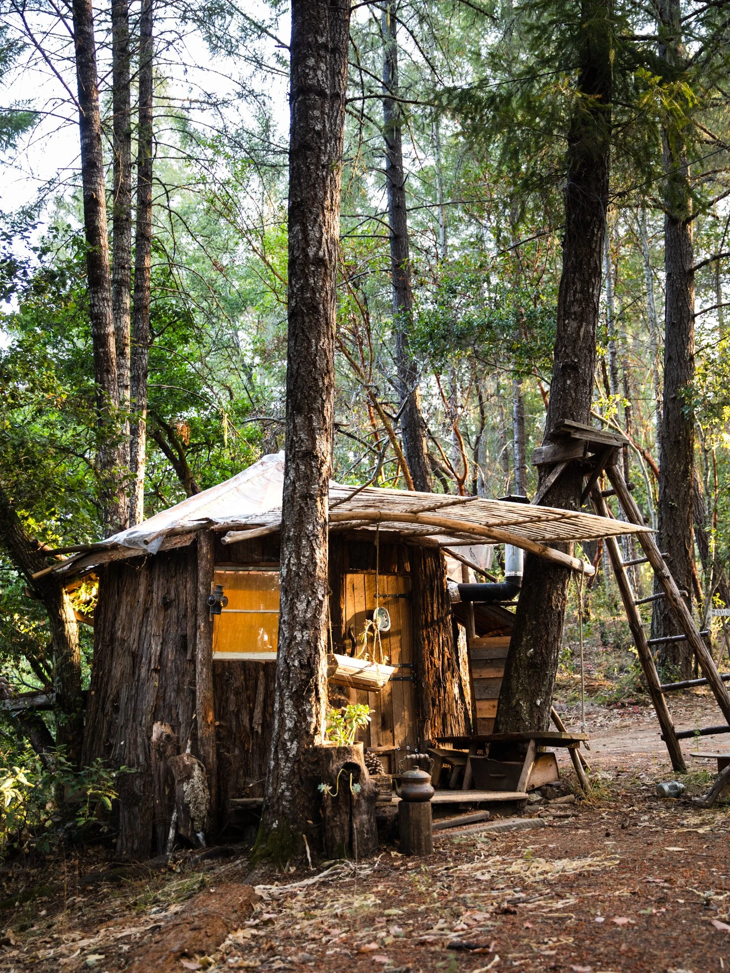 Image from PRAXIS, a photo essay shot in California by photographer Kaare Iverson. A rustic woodland scene with a small, handmade treehouse built of bark. Surrounded by tall trees and dense green foliage, with sunlight filtering through the leaves.