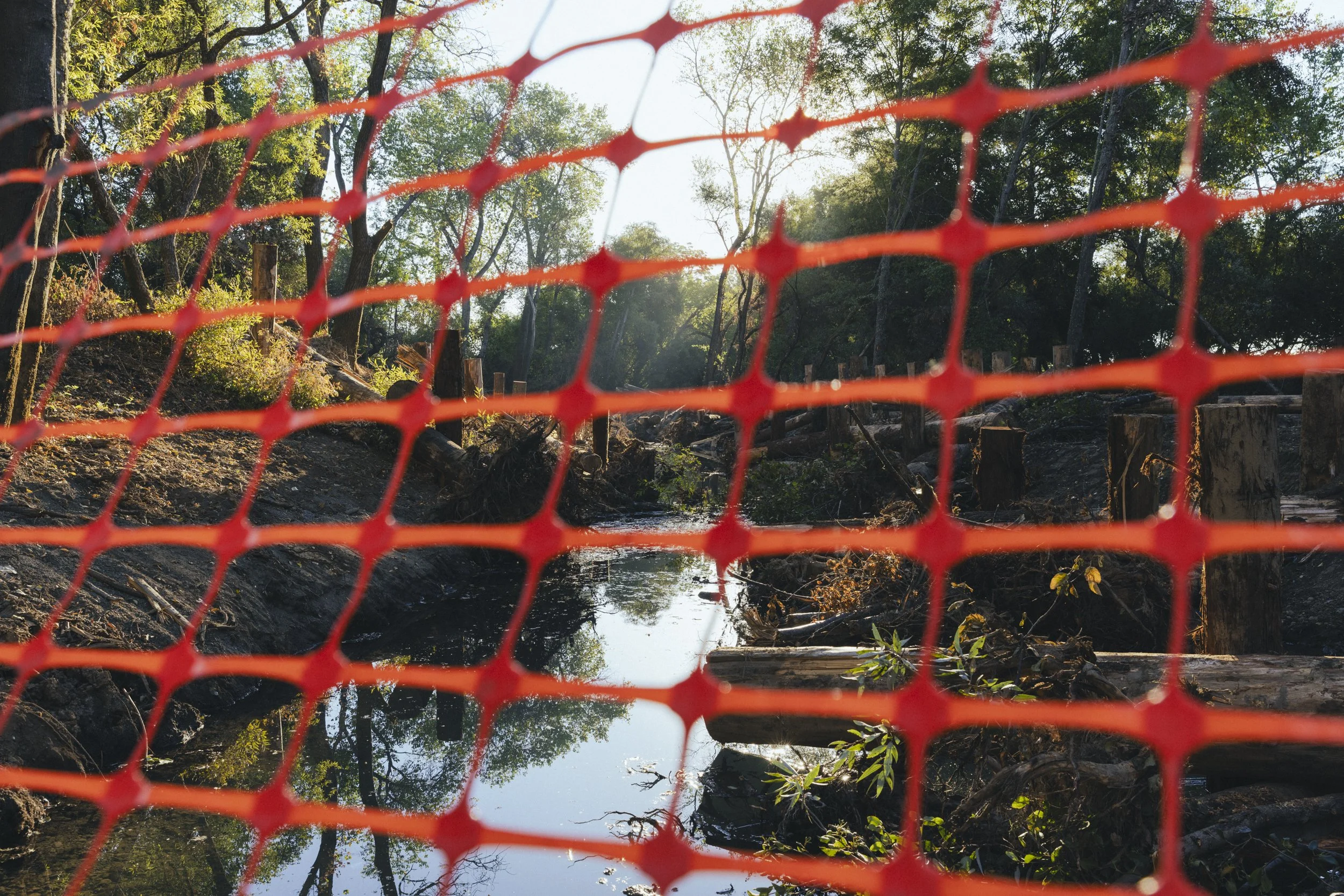 Conservation photography from the gallery THE LAST COHO by California photographer Kaare Iverson - Orange construction fence in front of Dry Creek as it undergoes Salmonid habitat enhancement in Sonoma County.