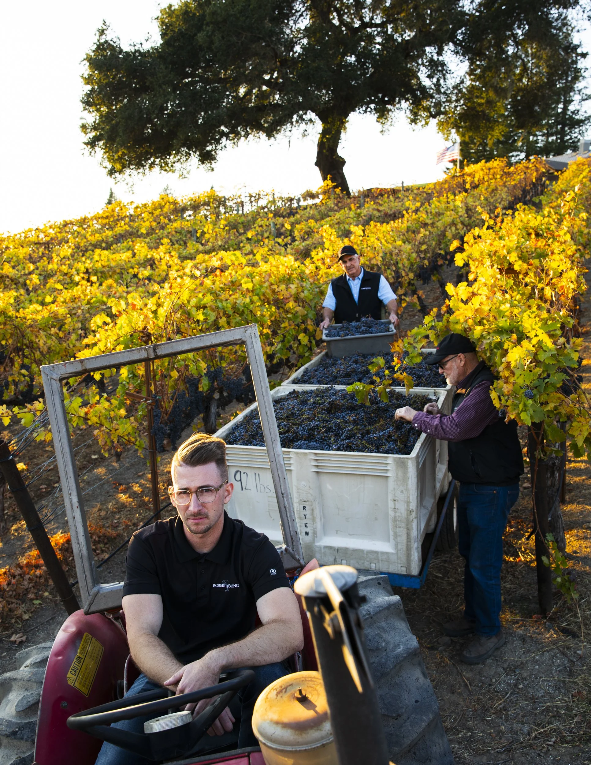 3-California-Commercial-Agriculture-Lifestyle-Photographer-Bay-Area-Sonoma-County-Winegrowers-Association-Robert-Young-Tractor-Harvest-Portrait.jpg