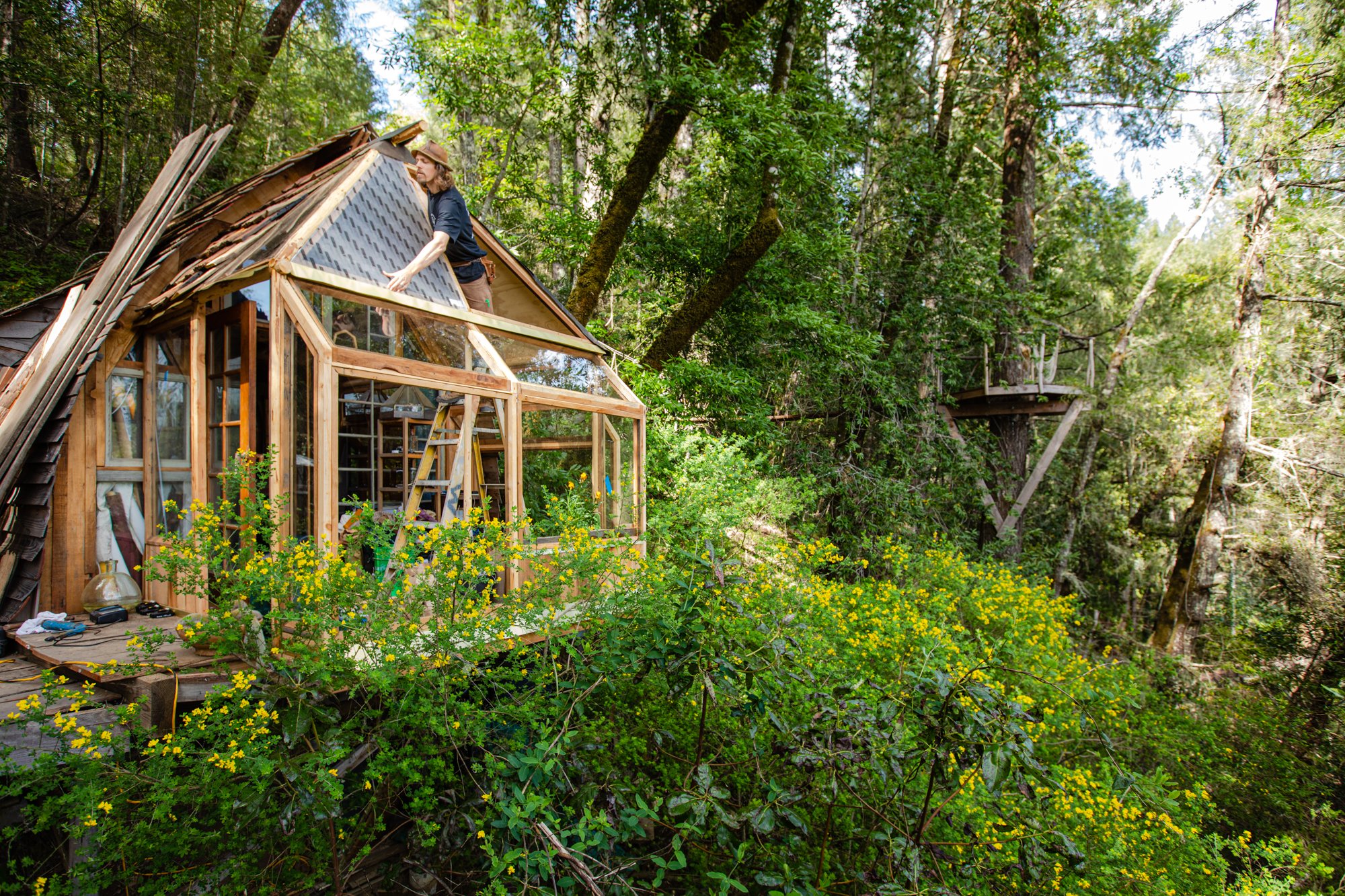 Image from PRAXIS, a photo essay shot in California by photographer Kaare Iverson. A person installing roofing on a small glass and wood house amidst a dense forest with tall trees and yellow flowering plants in the foreground.