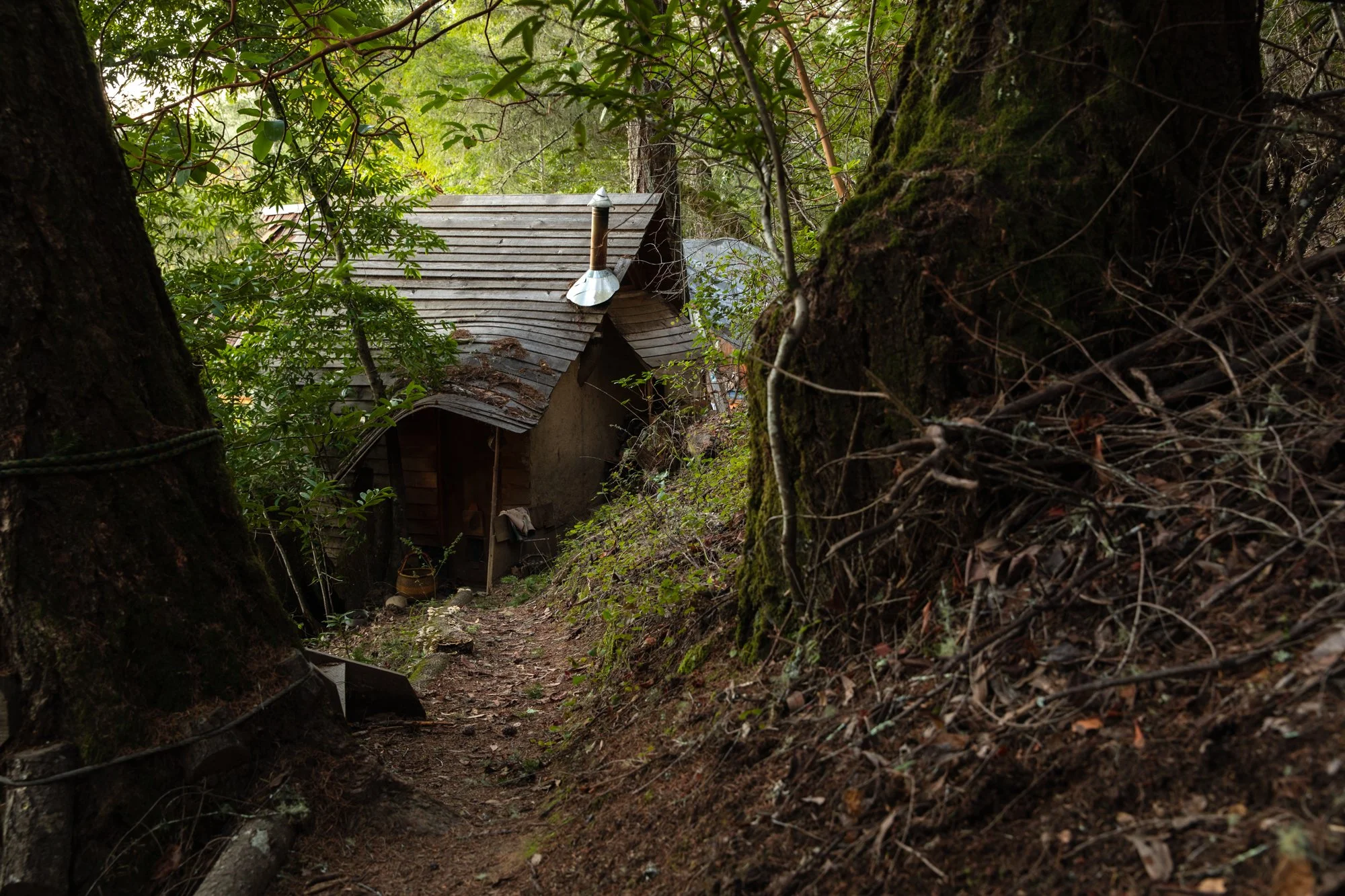 Image from PRAXIS, a photo essay shot in California by photographer Kaare Iverson. A small wooden cabin with a slanted roof and a chimney, nestled among thick trees and dense forest, surrounded by greenery and foliage.