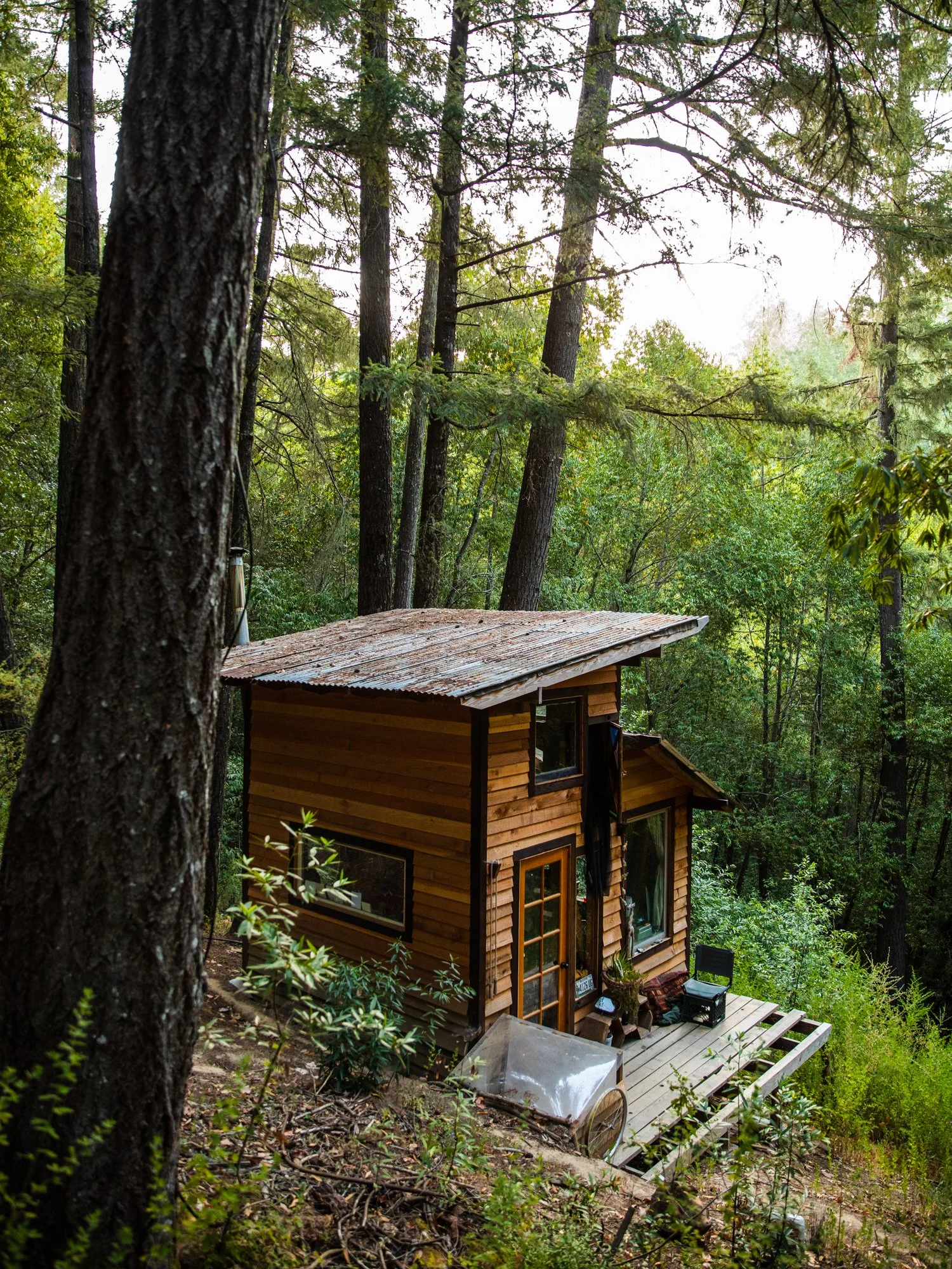 Image from PRAXIS, a photo essay shot in California by photographer Kaare Iverson. A small wooden cabin situated on a hillside surrounded by tall trees and lush green foliage, with a wooden deck and outdoor furniture.