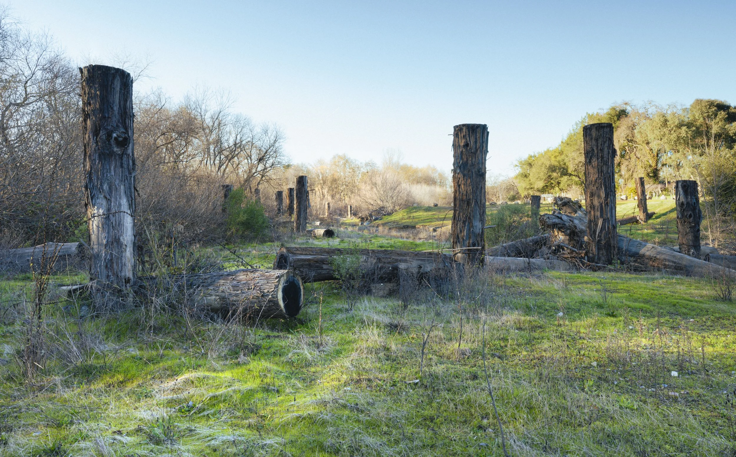 Conservation photography from the gallery THE LAST COHO by California photographer Kaare Iverson - abstract landscape of floodplain habitat enhancement for endangered Salmon behind a vineyard in Sonoma County.