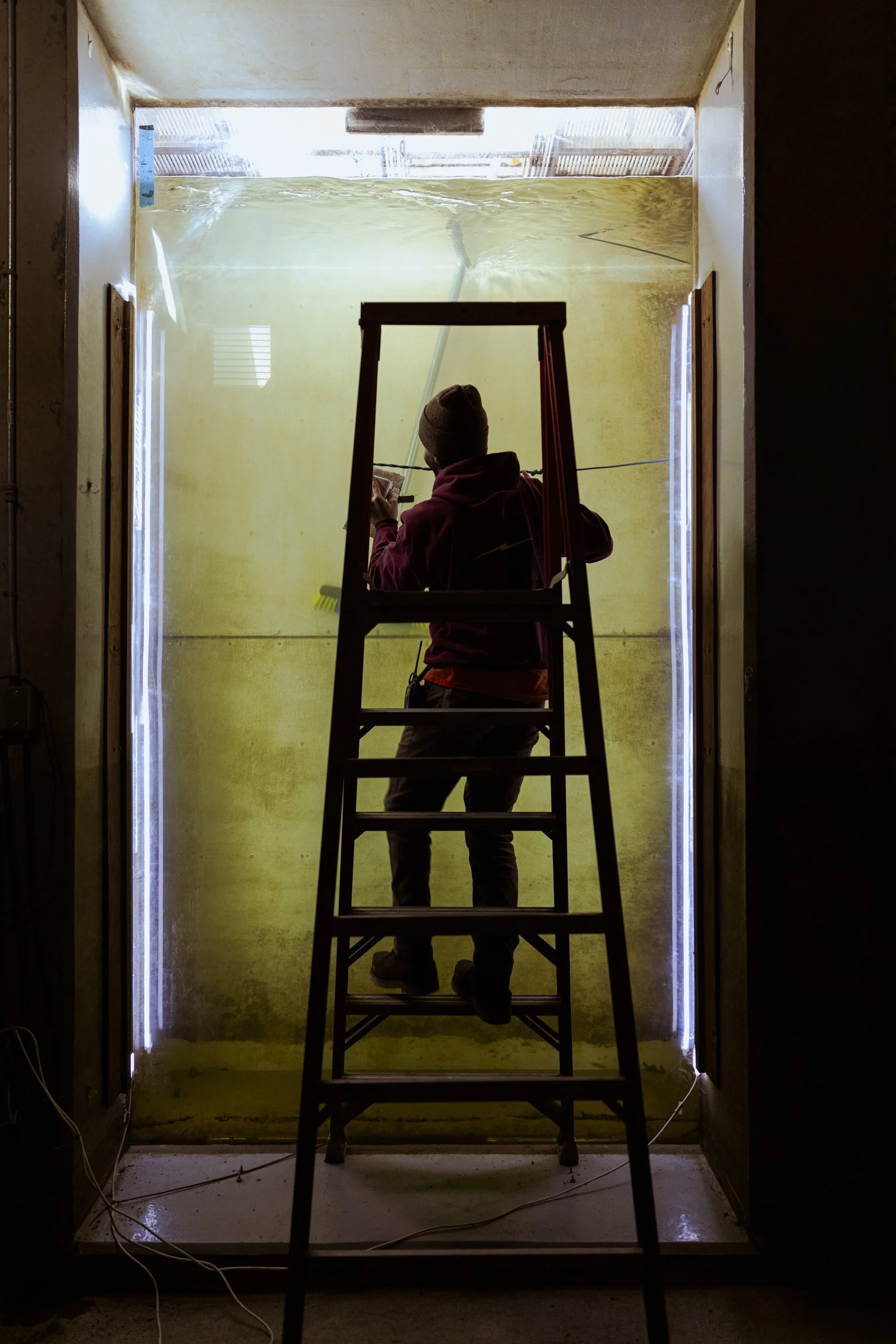 Conservation photography from the gallery THE LAST COHO by California photographer Kaare Iverson - a technician cleans a Salmon observation passage in Sonoma County.
