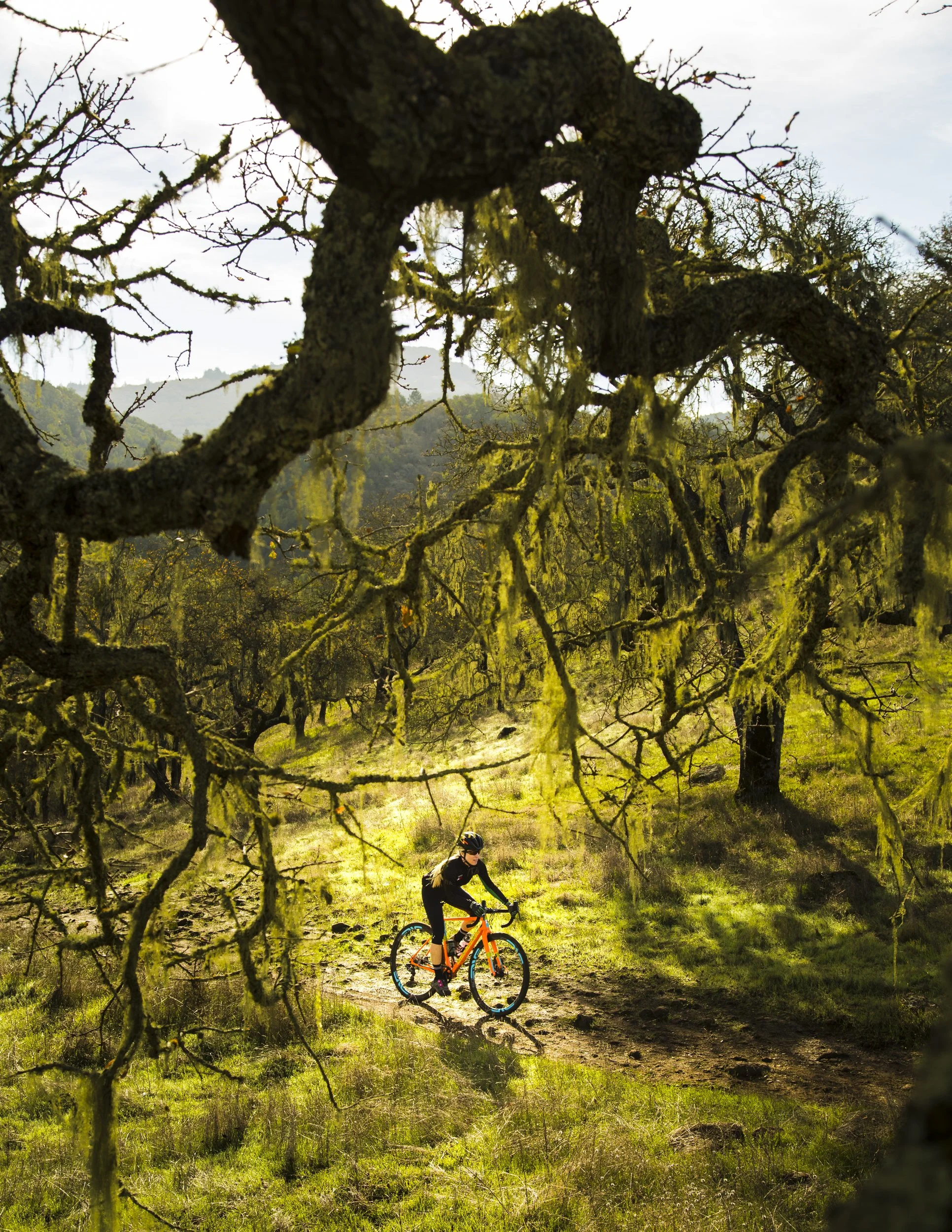 Bike lifestyle landscape photography by California-based commercial photographer Kaare Iverson. A person riding a mountain bike on a trail through a forest with moss-covered trees and hills in the background.