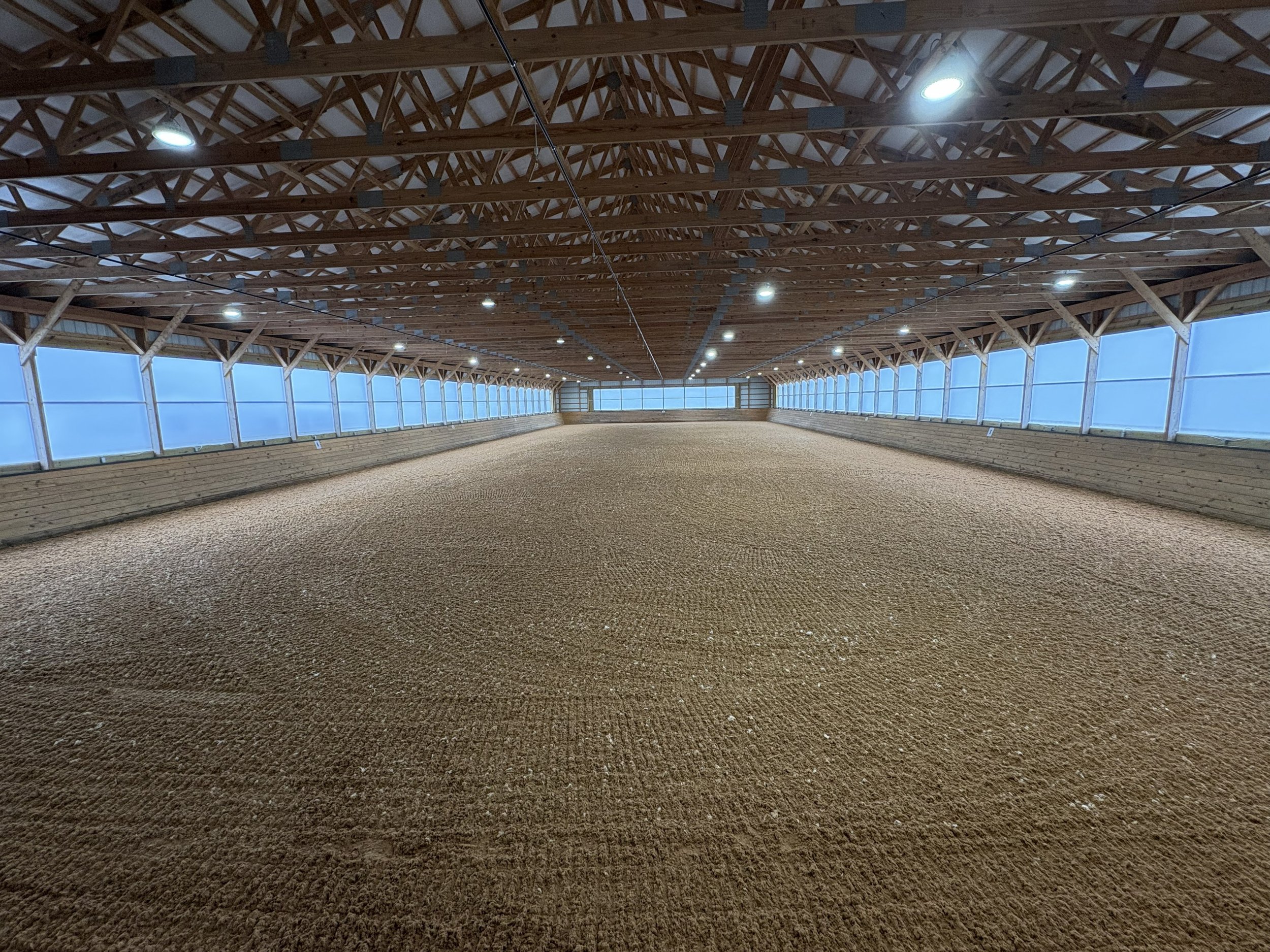 Groomed indoor.jpg