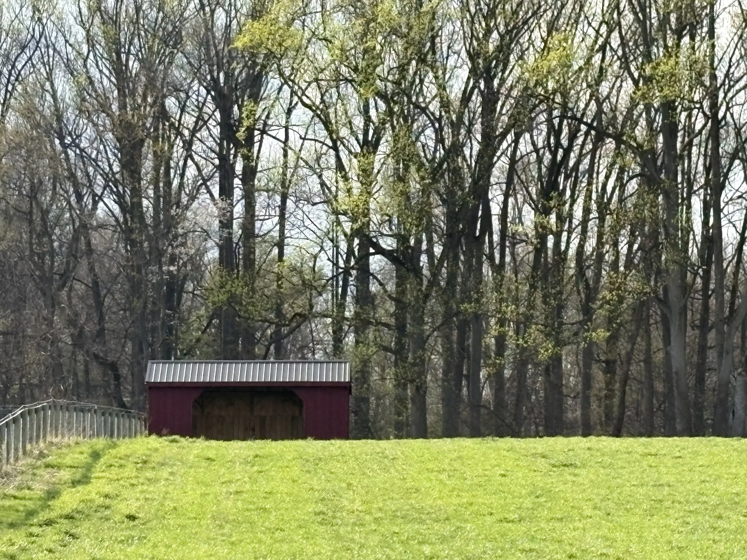 Run in shed red.jpg