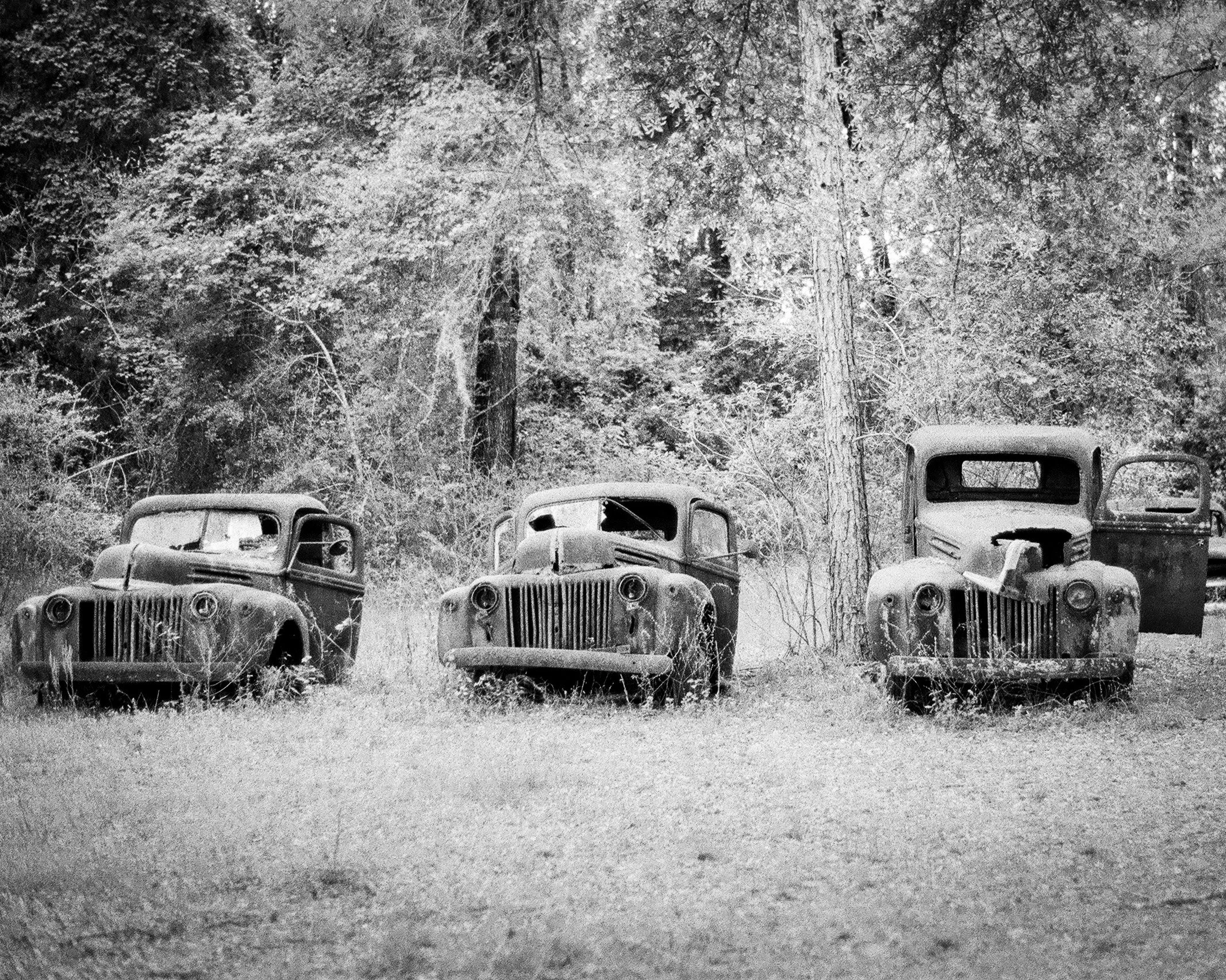 03_crawfordville_Florida_minolta_X300_06052026.jpg