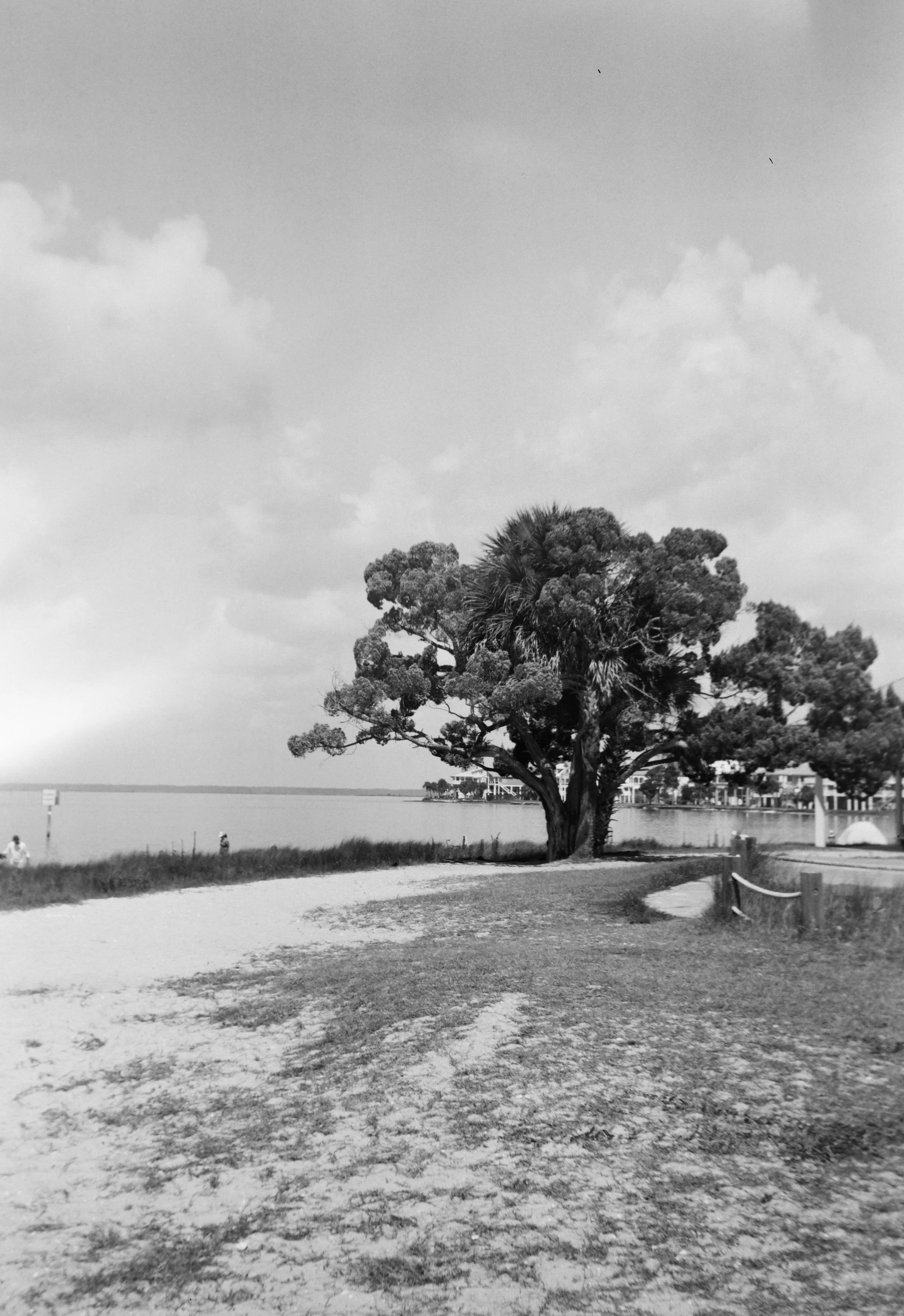 01_shell_point_beach_florida_07212026.jpg