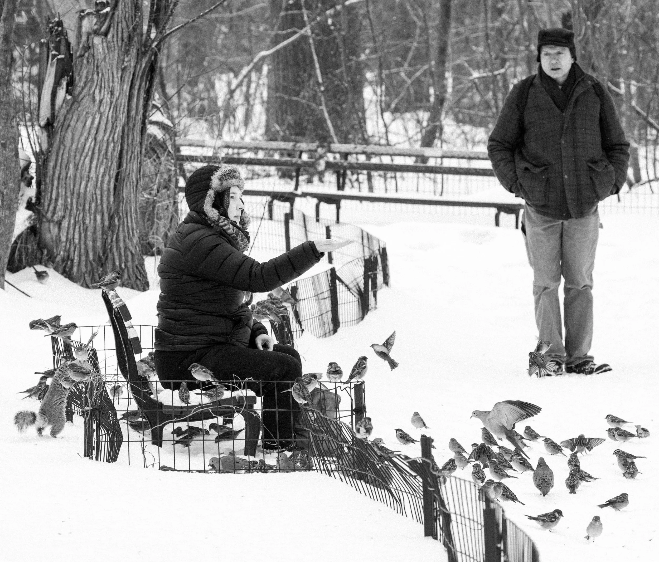 01262026_feeding_birds_central_park_new_york_001.jpg