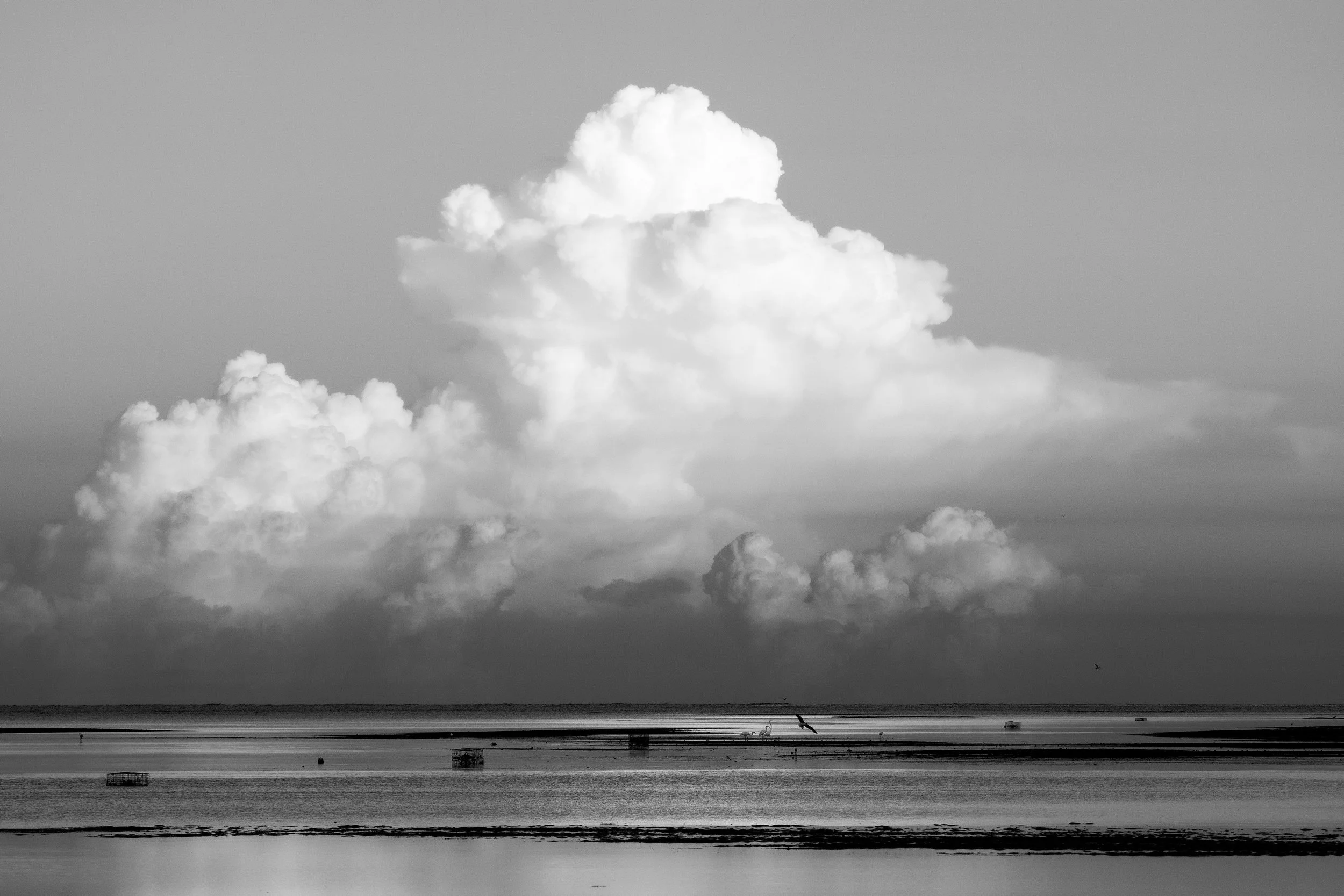 A black and white photo of a cloudy sky over a calm body of water with a few birds and small objects near the shore.