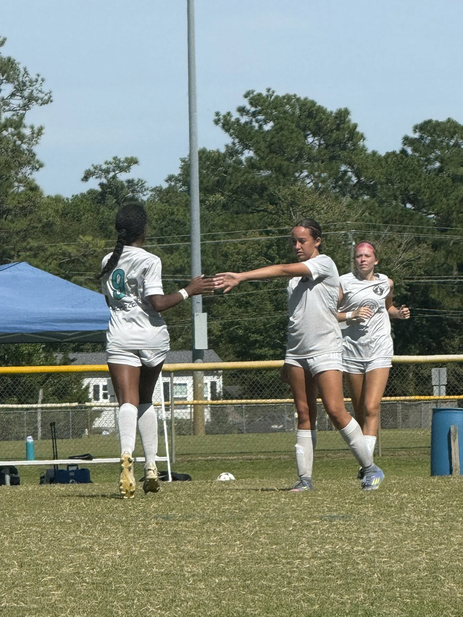 Pro Development Phase