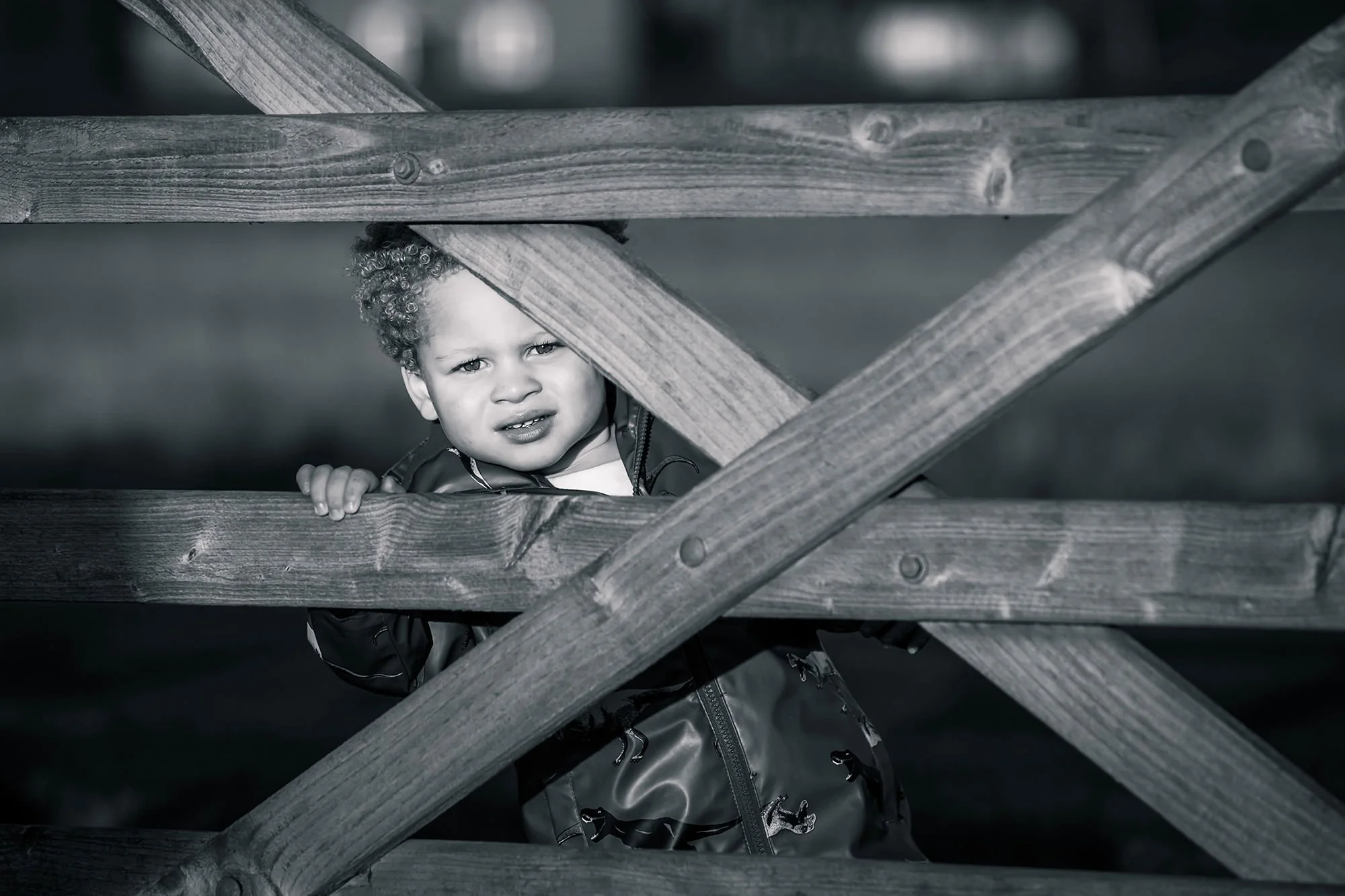 natural light portrait of boy looking through fence in field