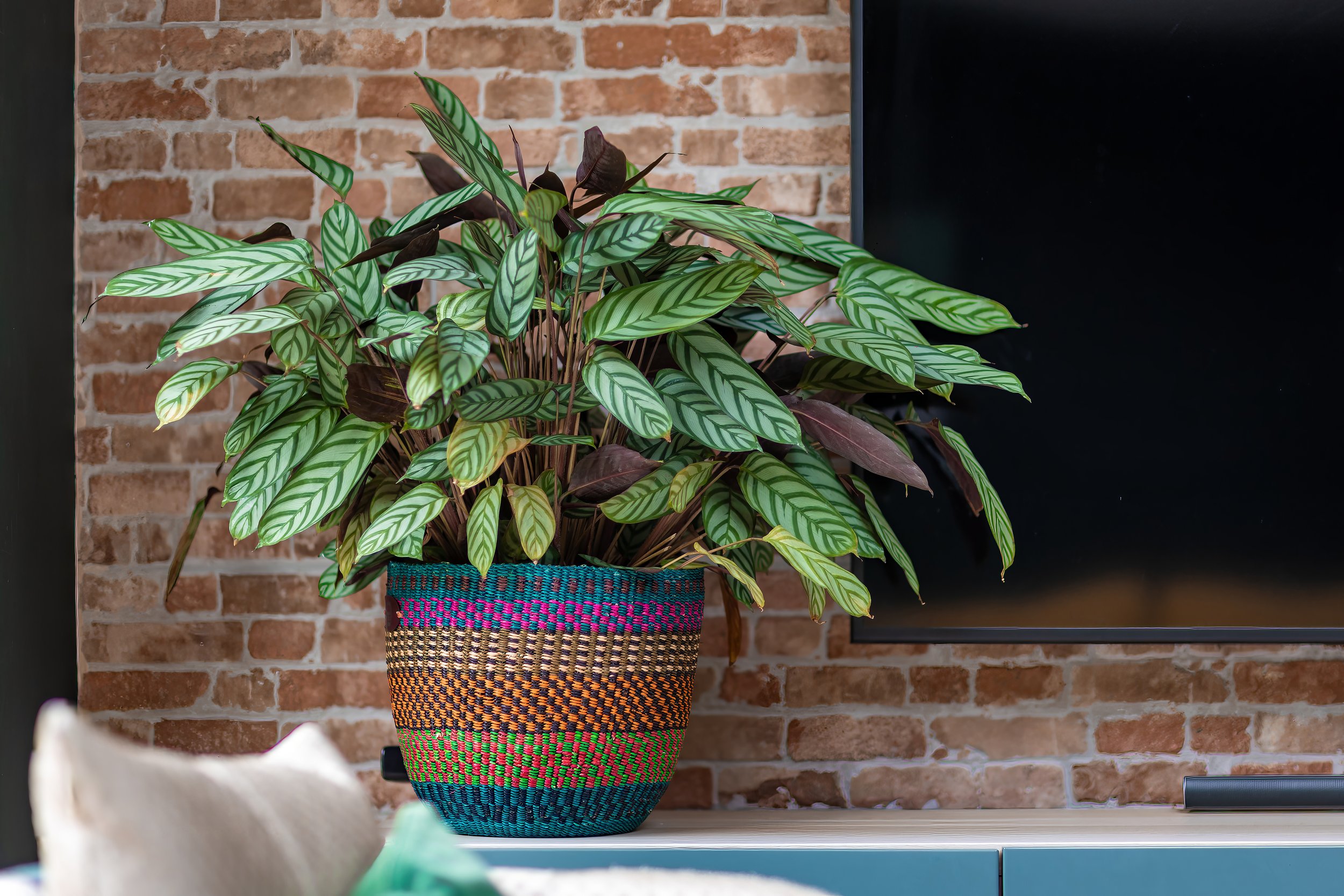 artisan-homeware-product-photography-01.jpg