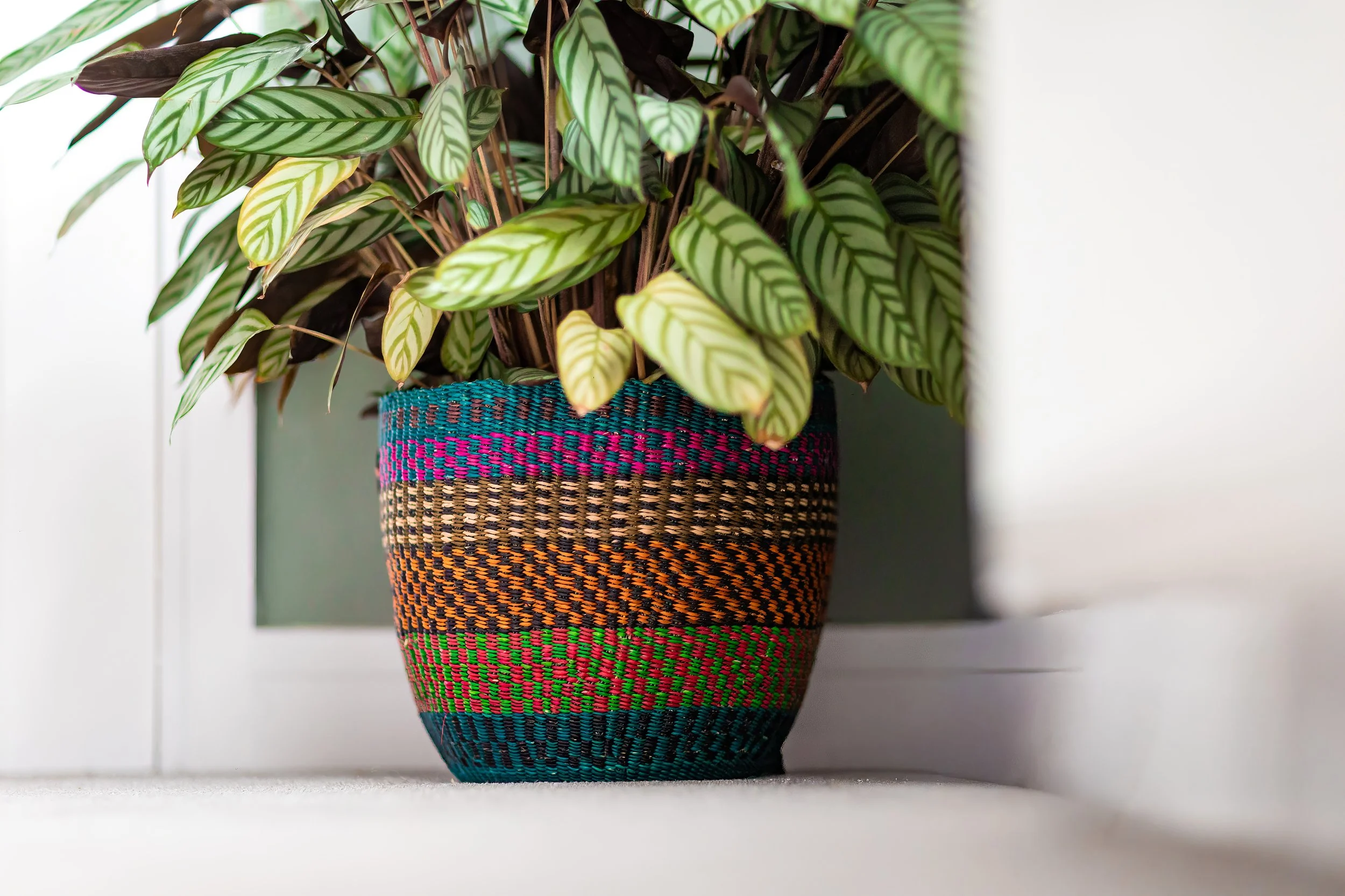retail-product-photography-08.jpg