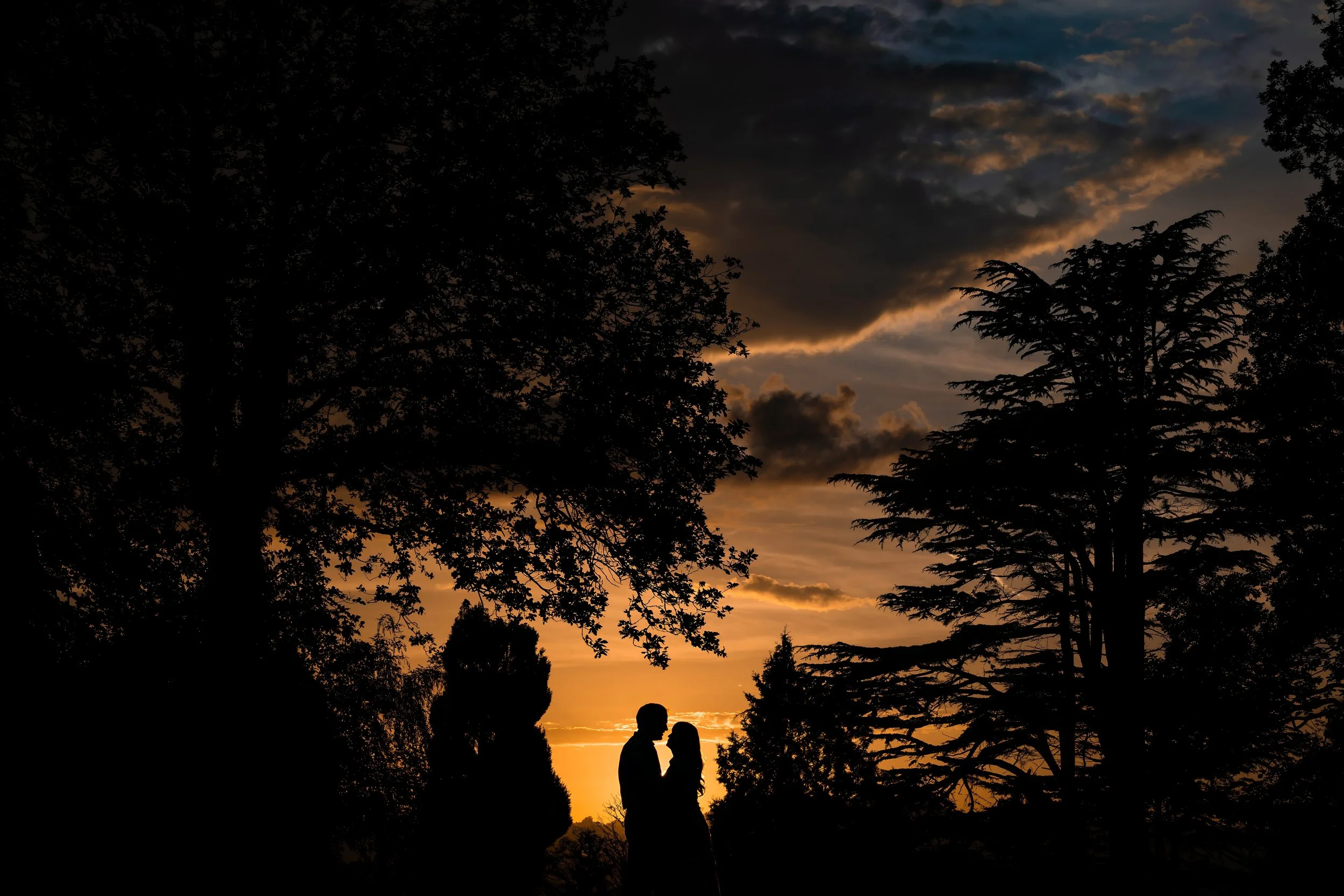 Couple newlyweds silhouette with dramatic sunset and trees