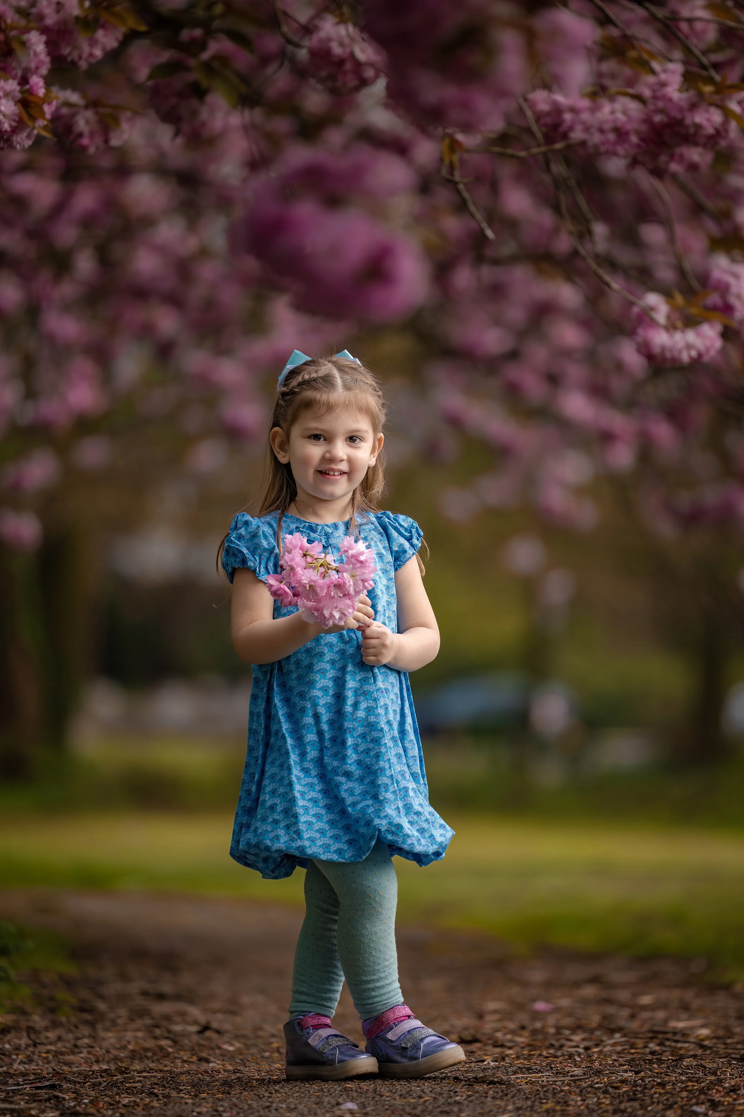cherry blossom tree portrait with cute little girl