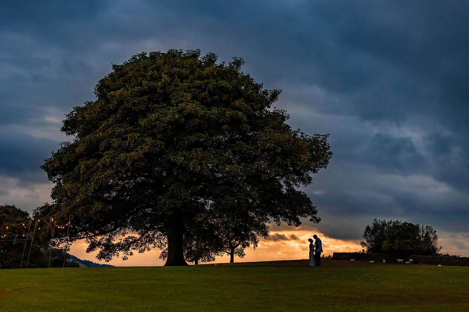romantic silhouette sunset bride groom newlywed couple portrait with tree at heaton house farm in macclesfield