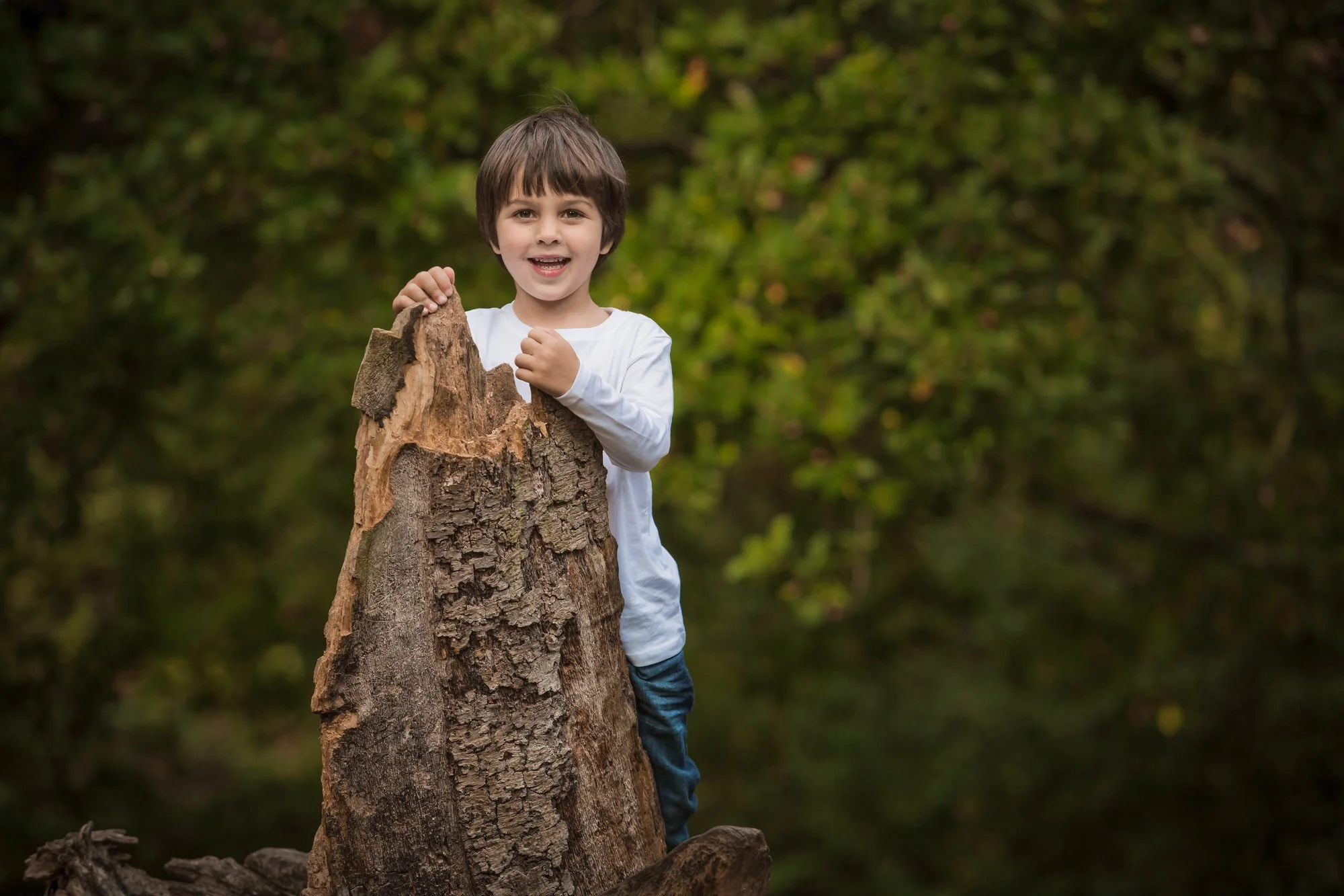 natural light portrait of boy climbing tree stump in dunham massey manchester
