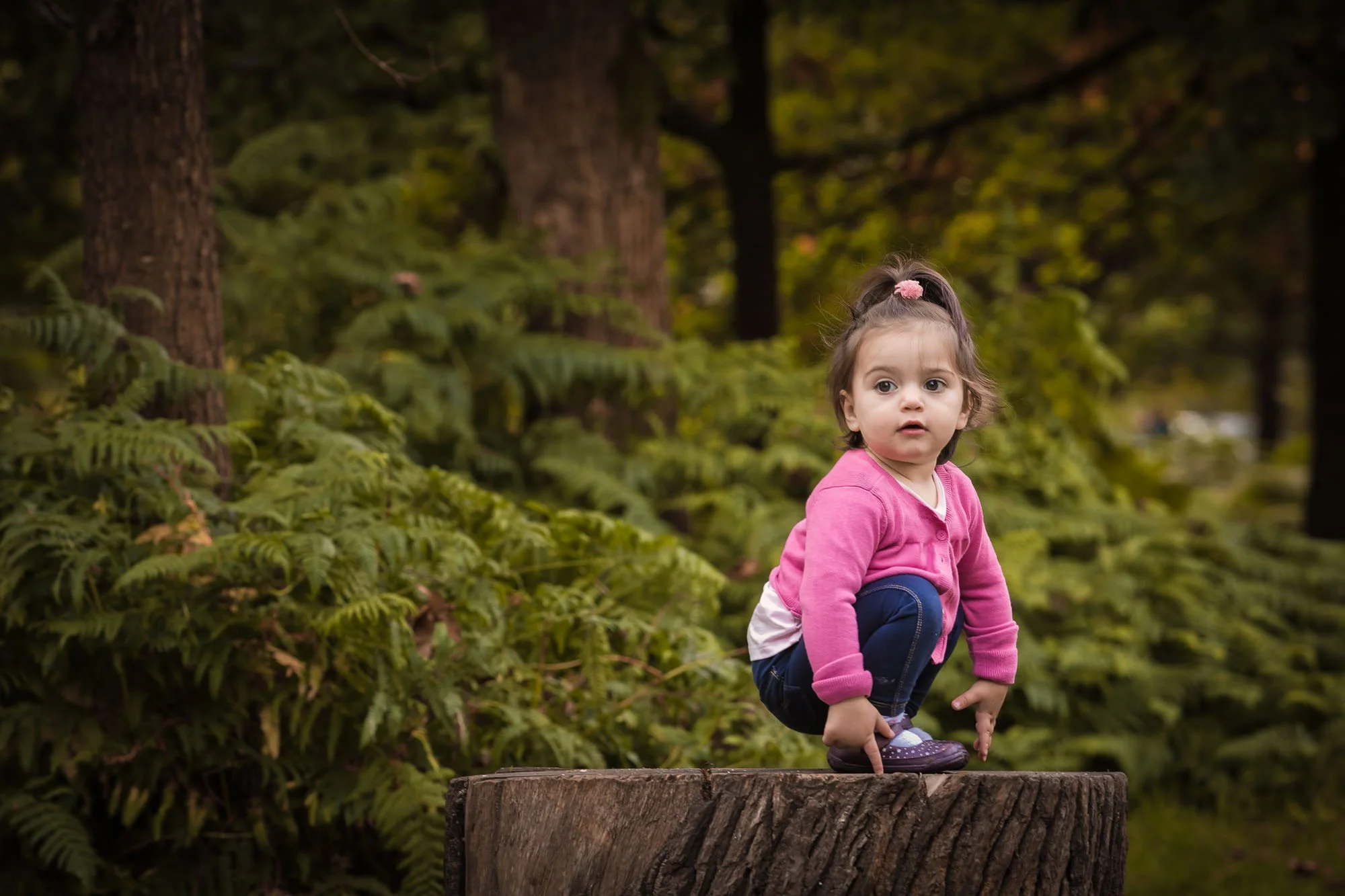 natural light portrait of crouching girl on tree stump in dunham massey manchester
