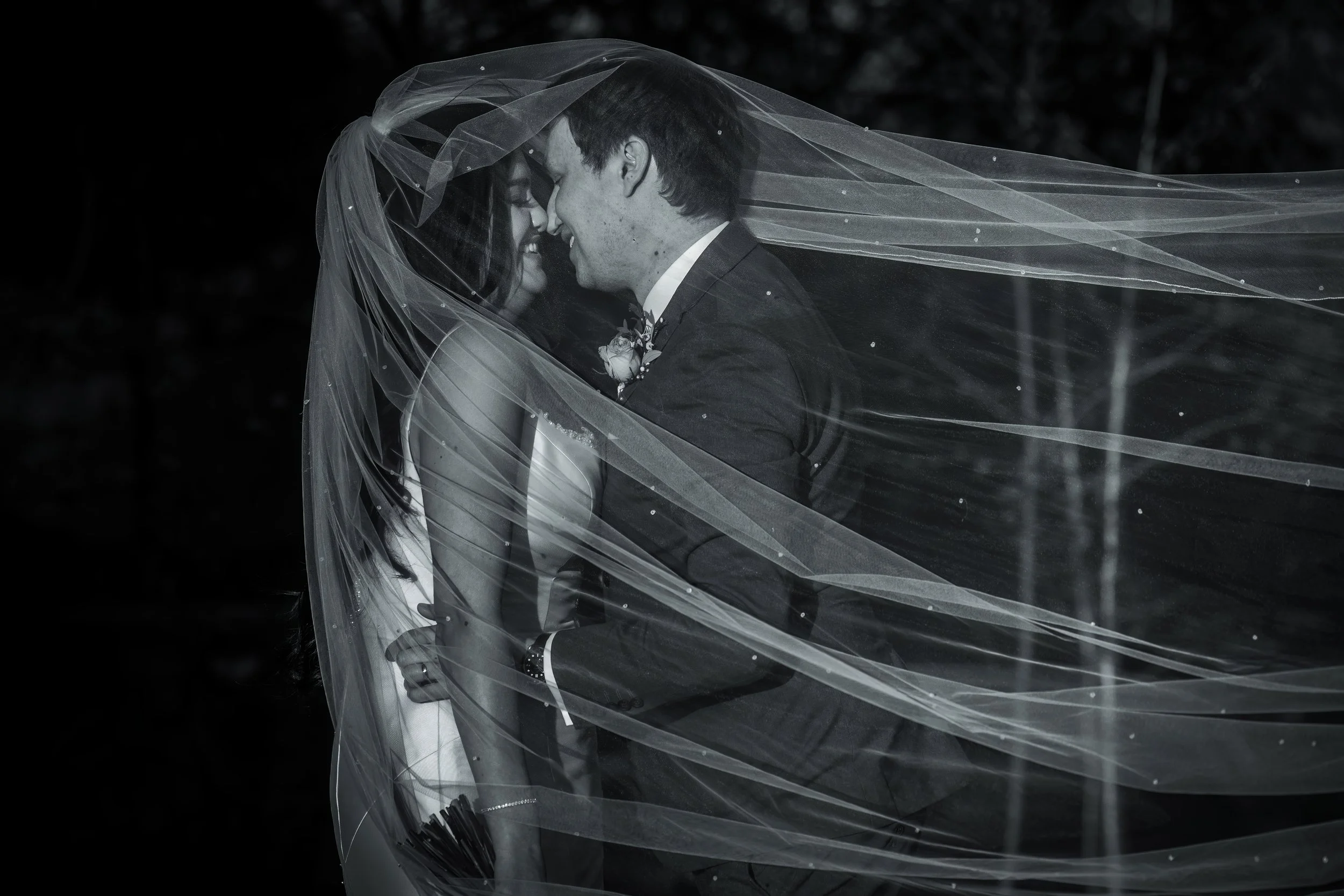 newlywed bride and groom kiss under veil