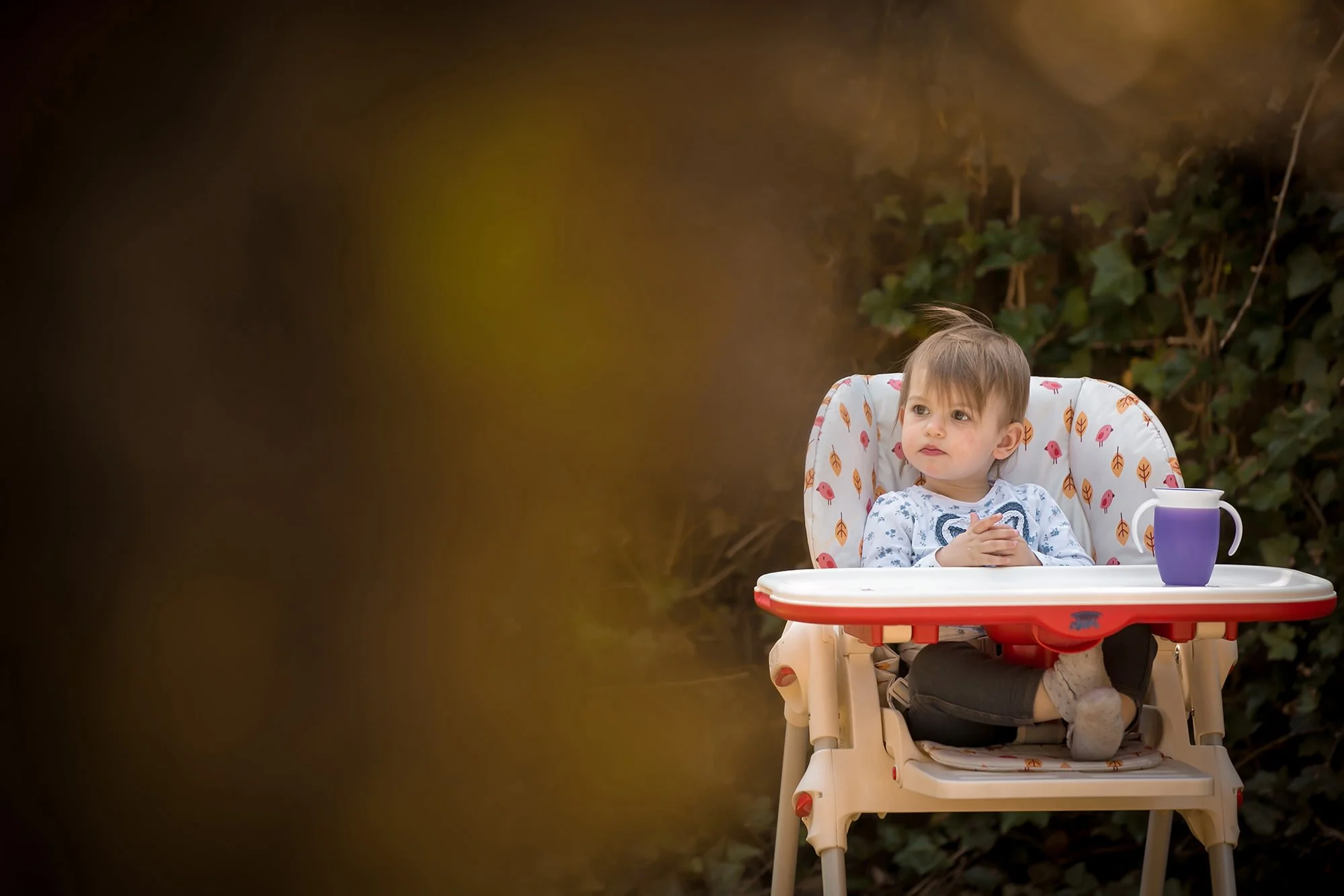 portrait of baby in high chair in garden