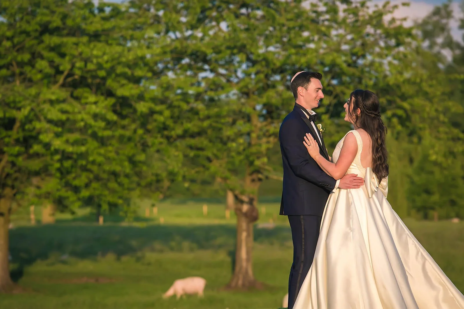 bride and groom couple portrait at colshaw hall with sheep in background