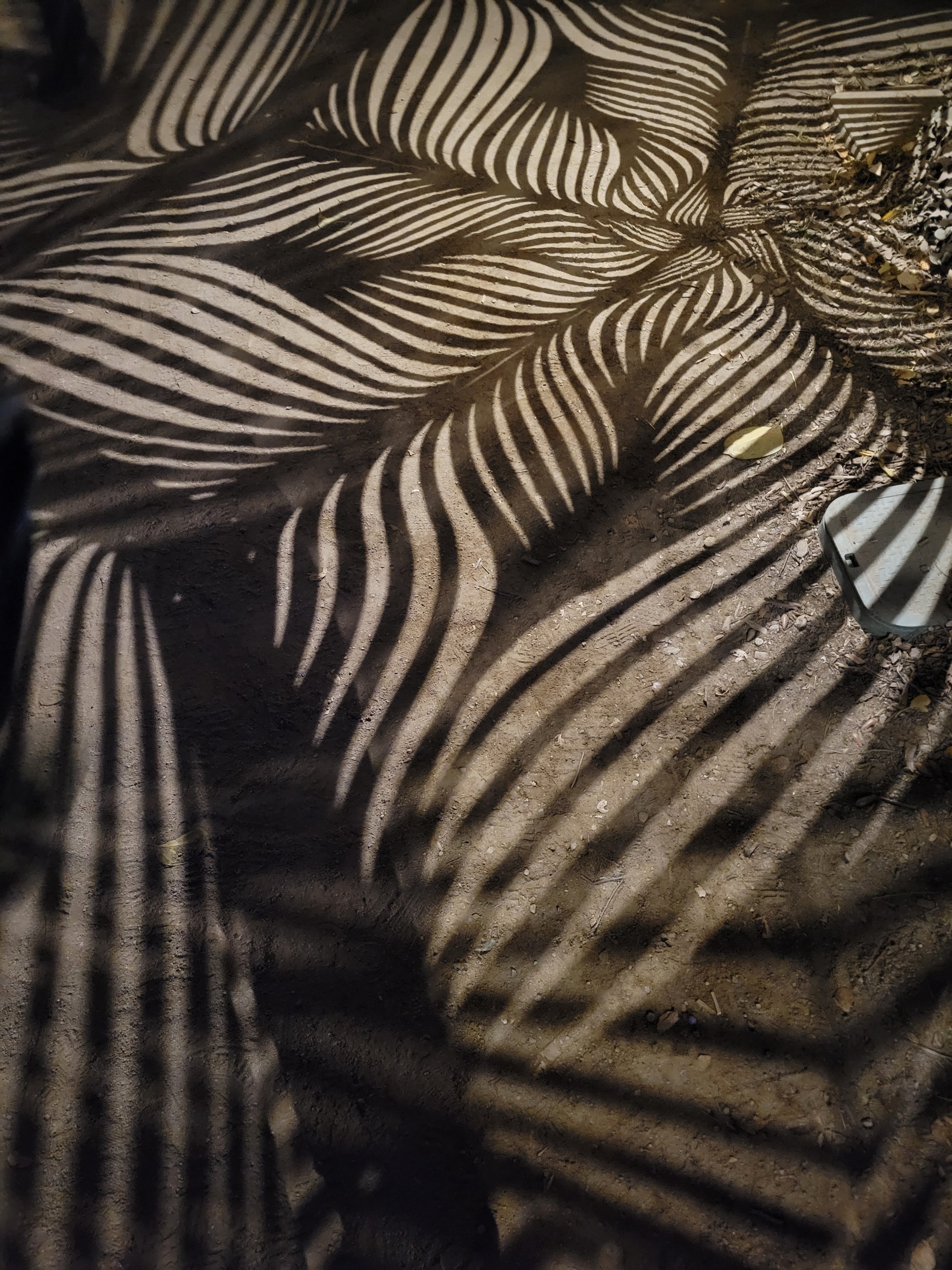 Shadows of geometric shapes cast on dirt ground at night