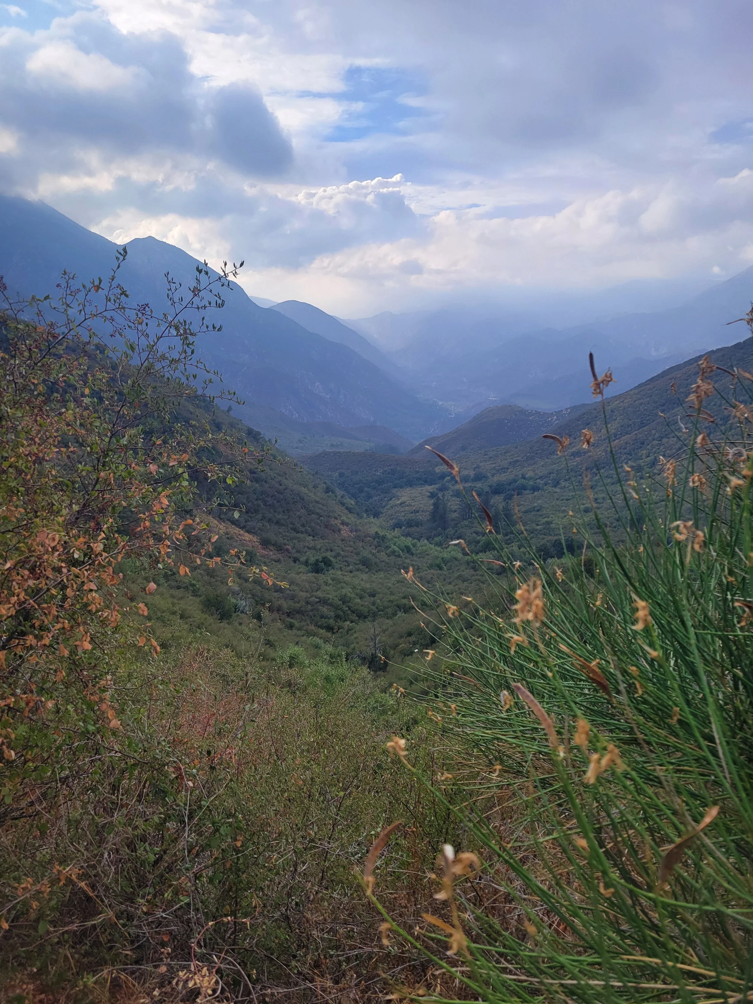 A mountainous landscape with lush green hills in the foreground and tall mountain peaks in the background, partially covered by clouds and blue sky.