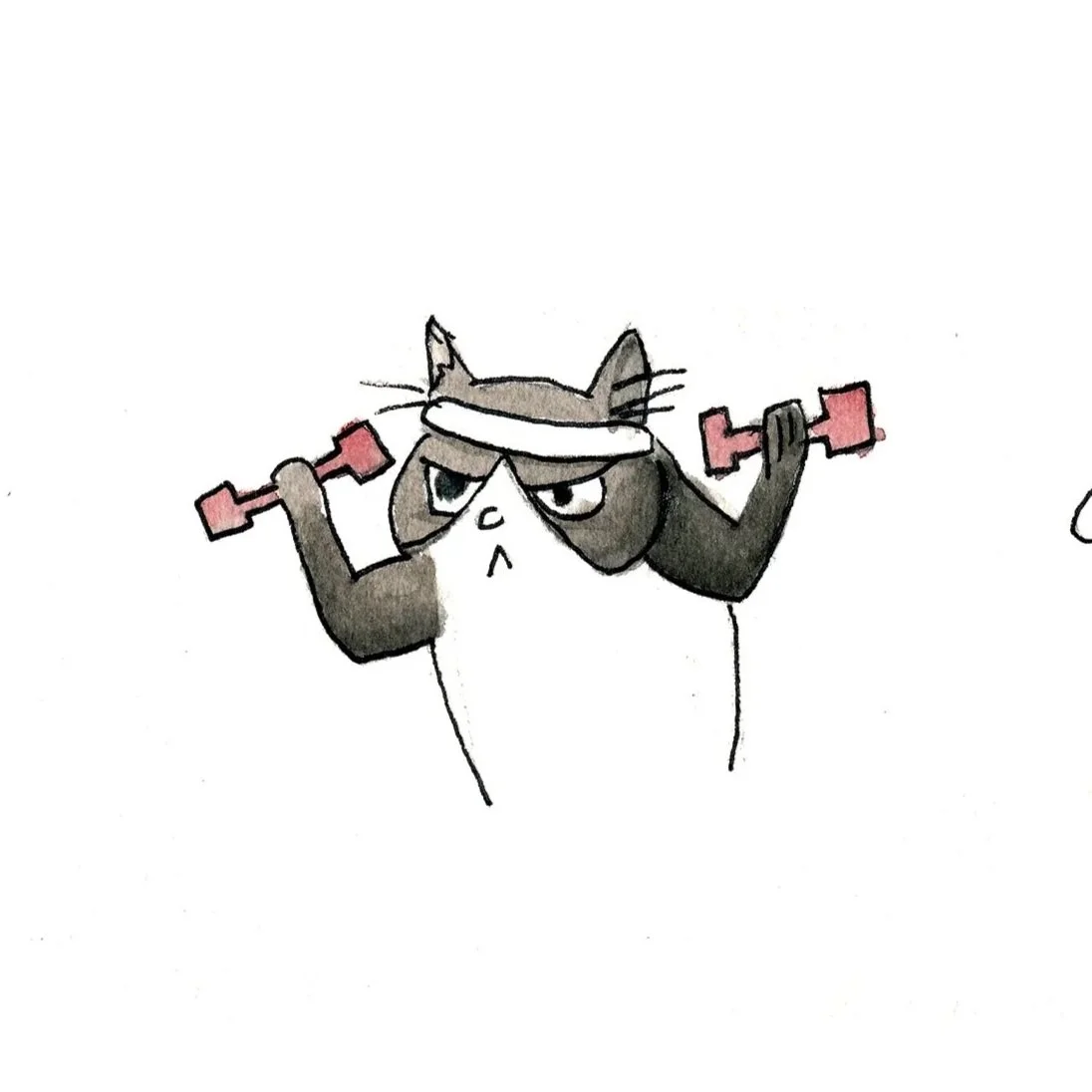 Cartoon cat with a headband lifting pink dumbbells, looking serious and determined.