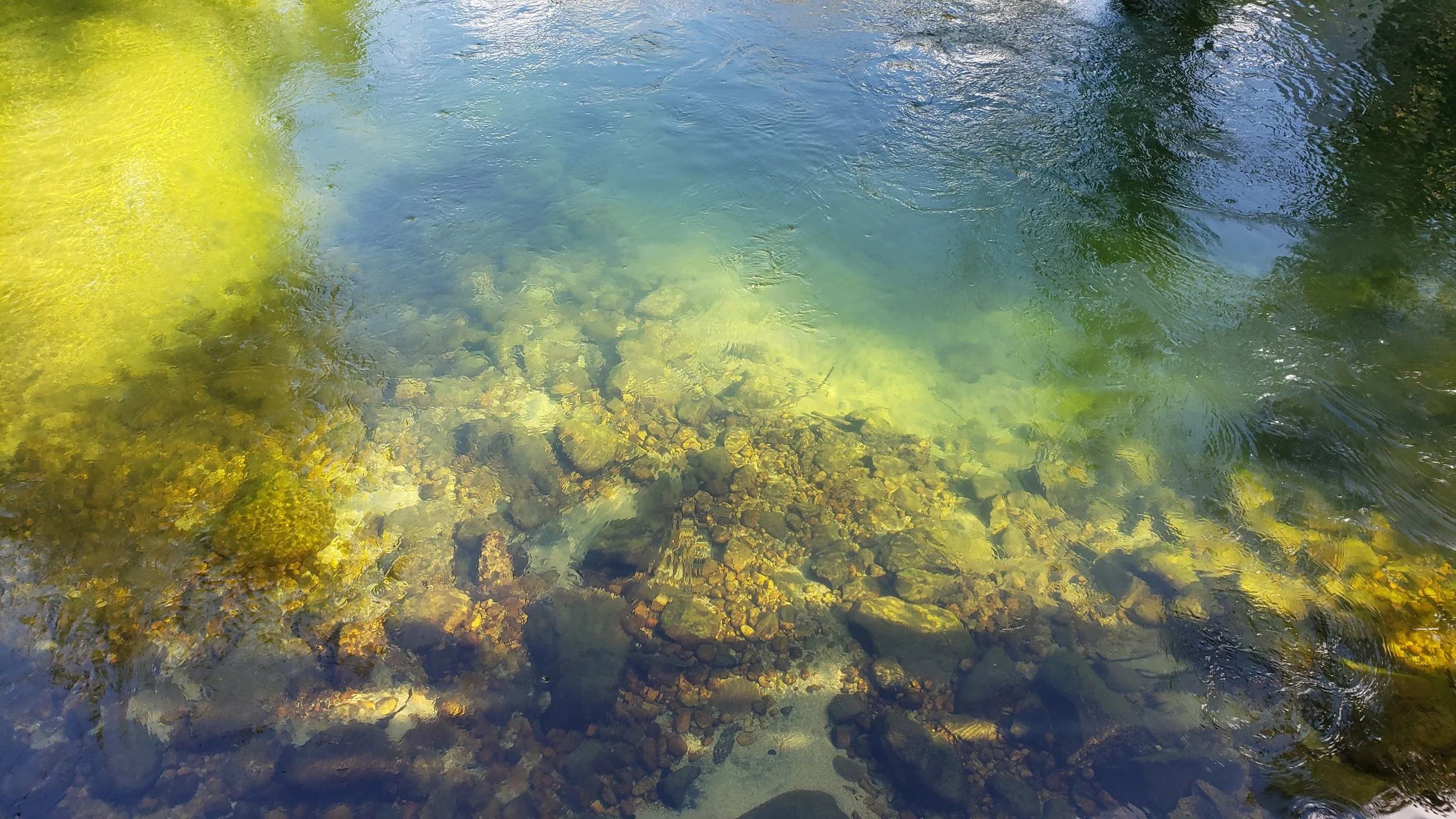 Clear stream with visible rocks and pebbles at the bottom, surrounded by green foliage.
