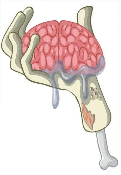 A cartoon illustration of a stylized hand holding a pink human brain that is melting, with grey sludge dripping down onto a single white bone handle. Set against a plain white background.