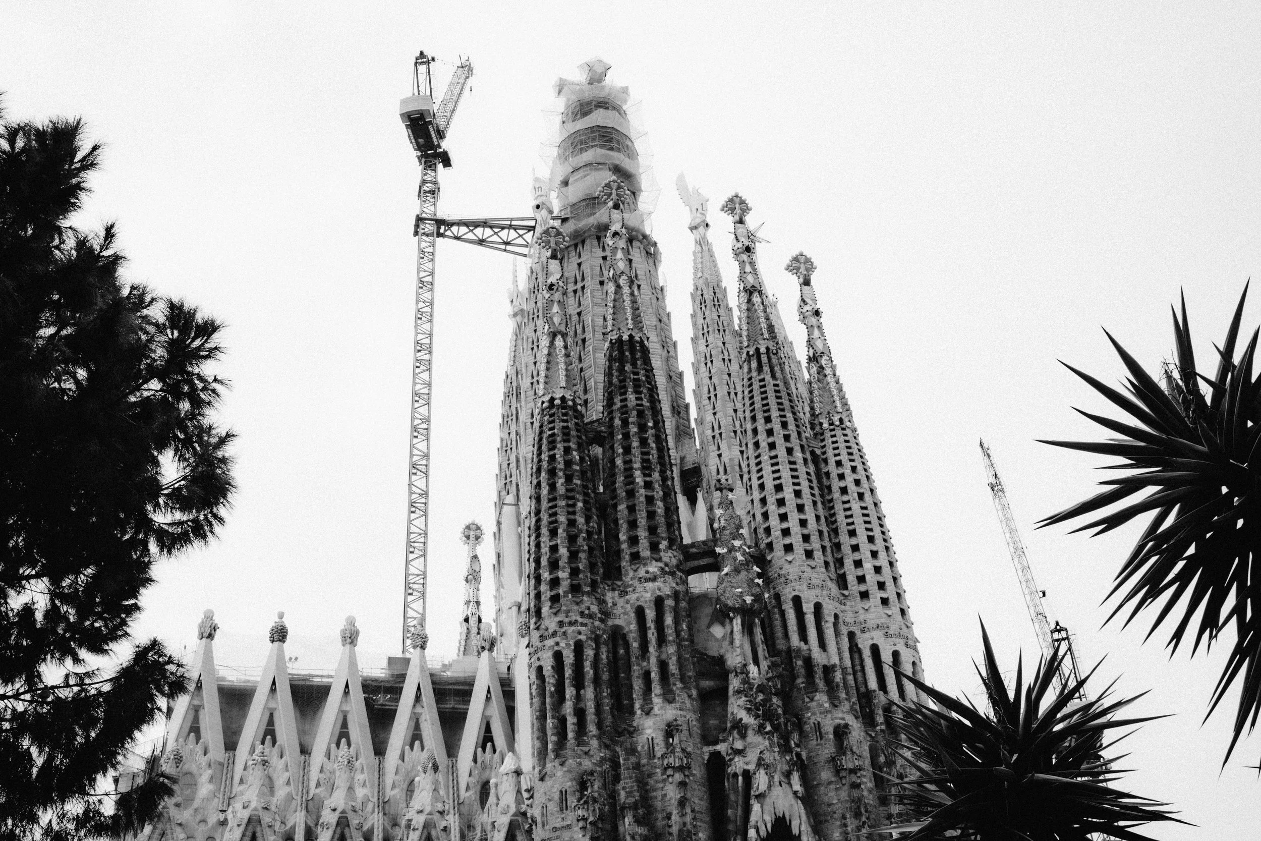 DSC01137-2.jpg