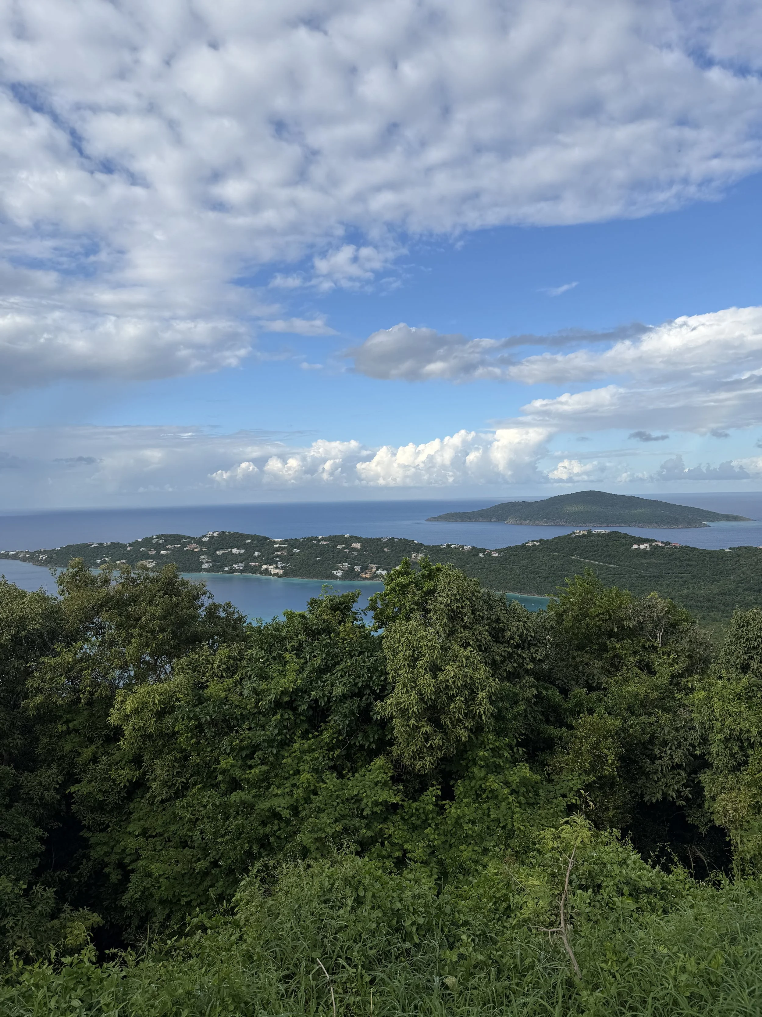 Scenic view of a tropical island with lush green trees in the foreground, blue ocean, and small islands in the distance under a partly cloudy sky.