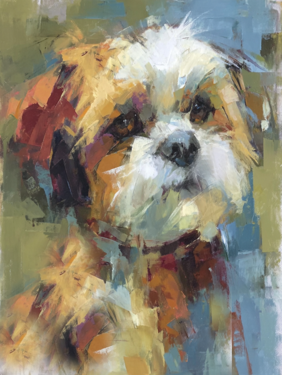 Shih_Tzu_3.png