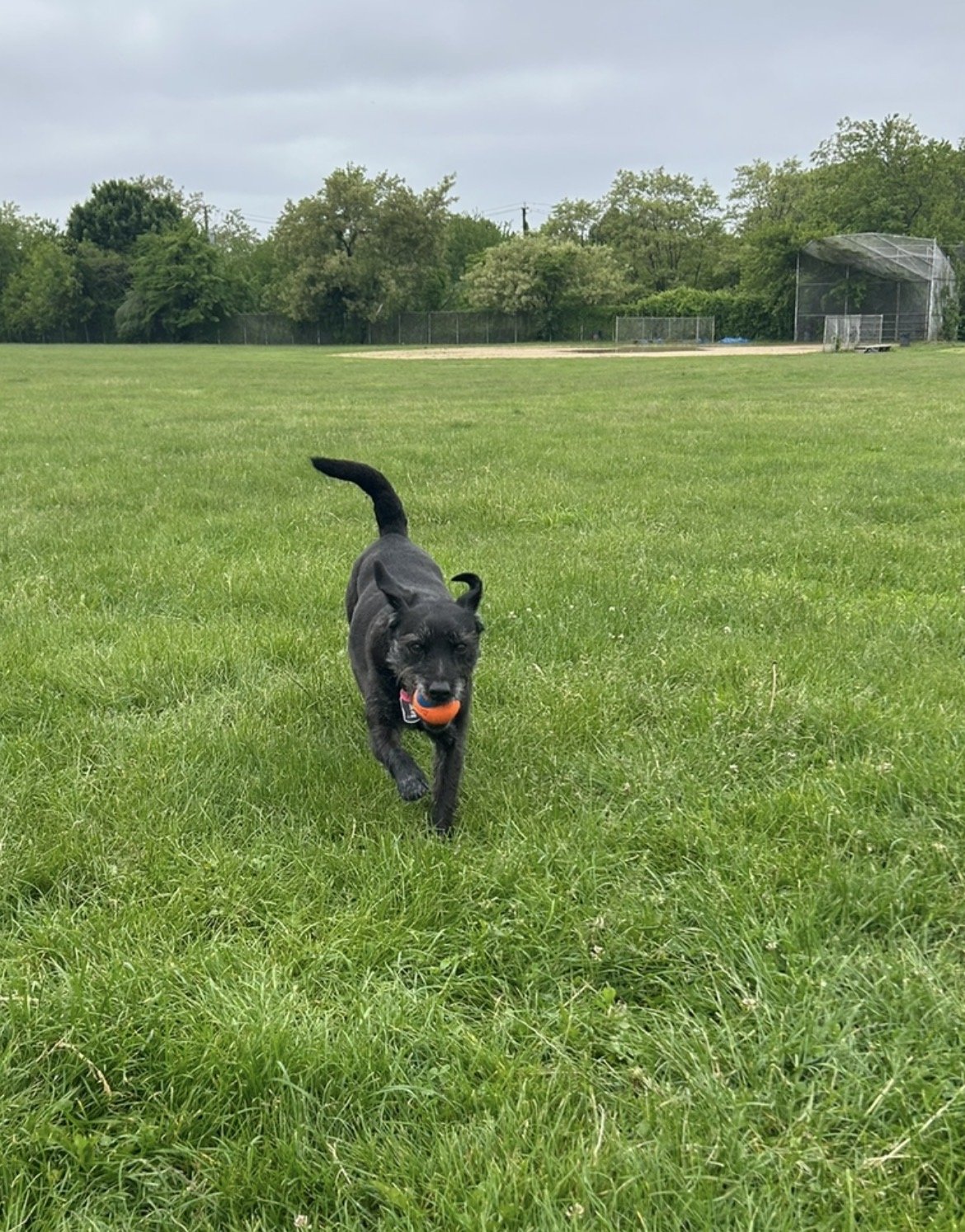 🐾Stormy🐾