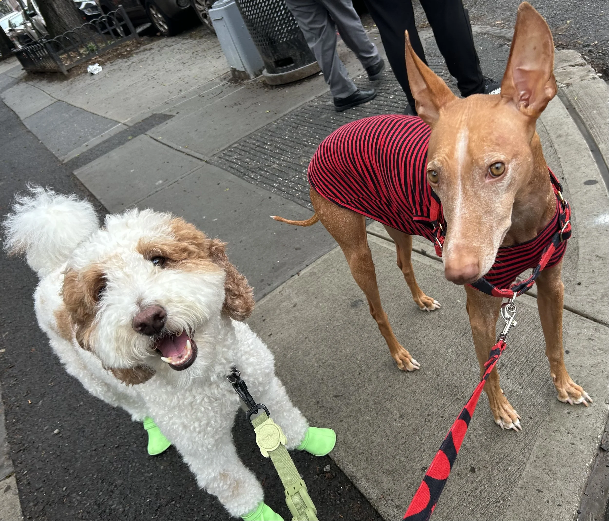 1 Hour walk