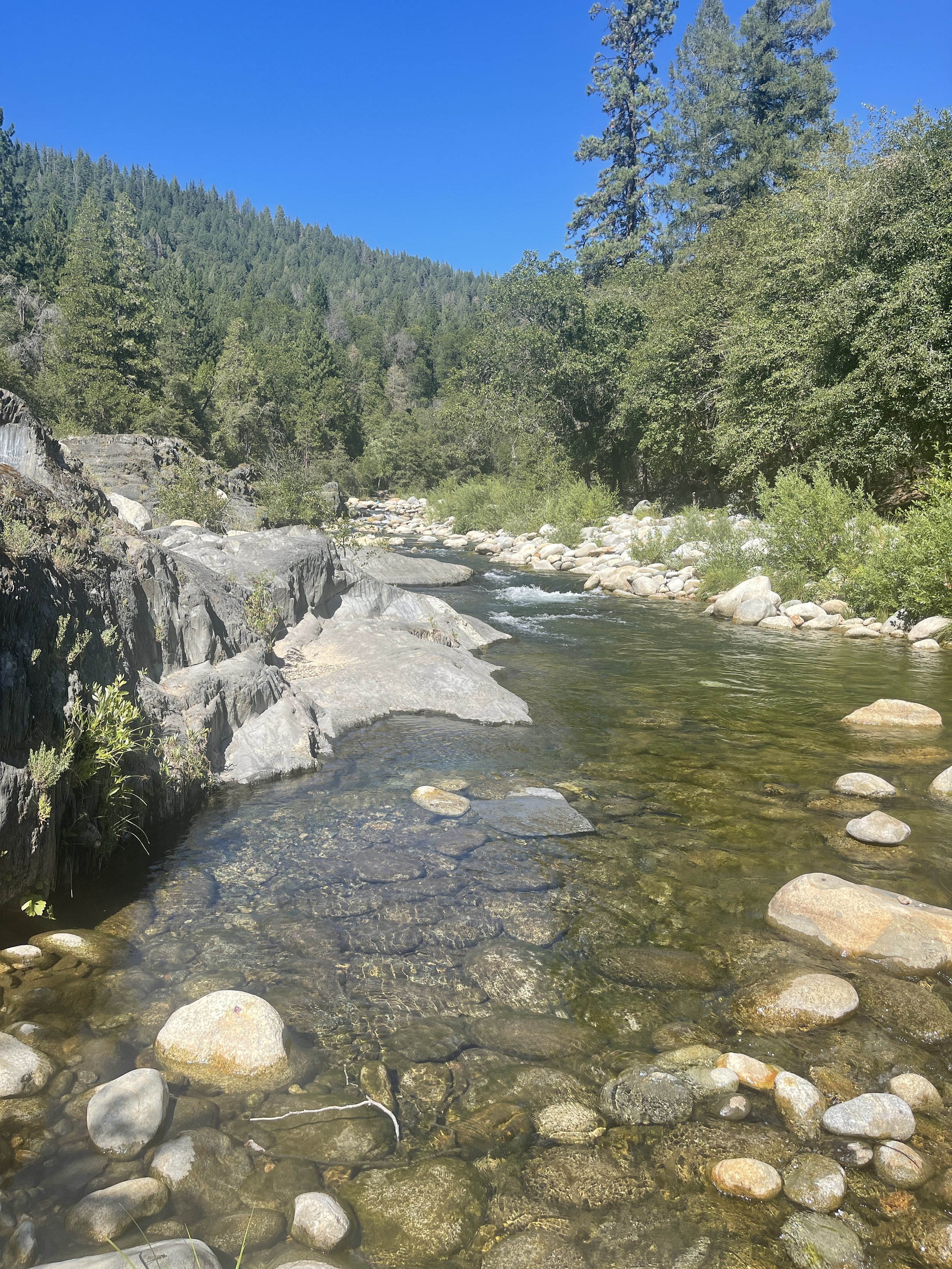 Summer in the Bay Area Is Its Own Kind of Season