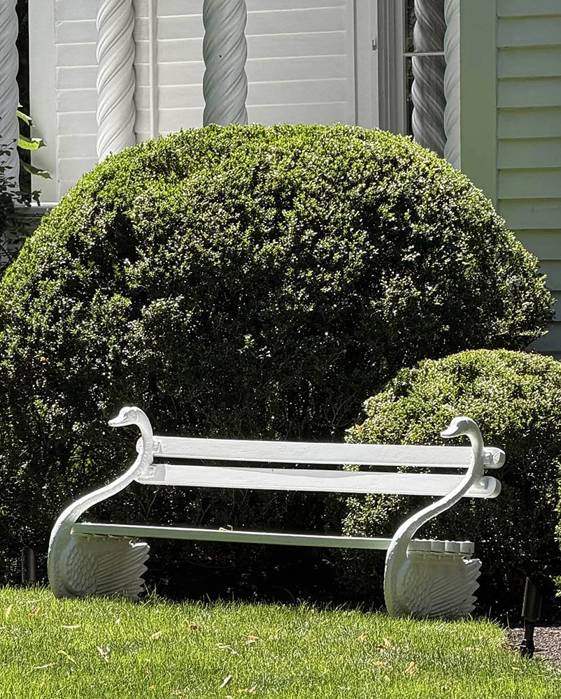 White painted garden bench with swan-shaped armrests in front of boxwood hedges