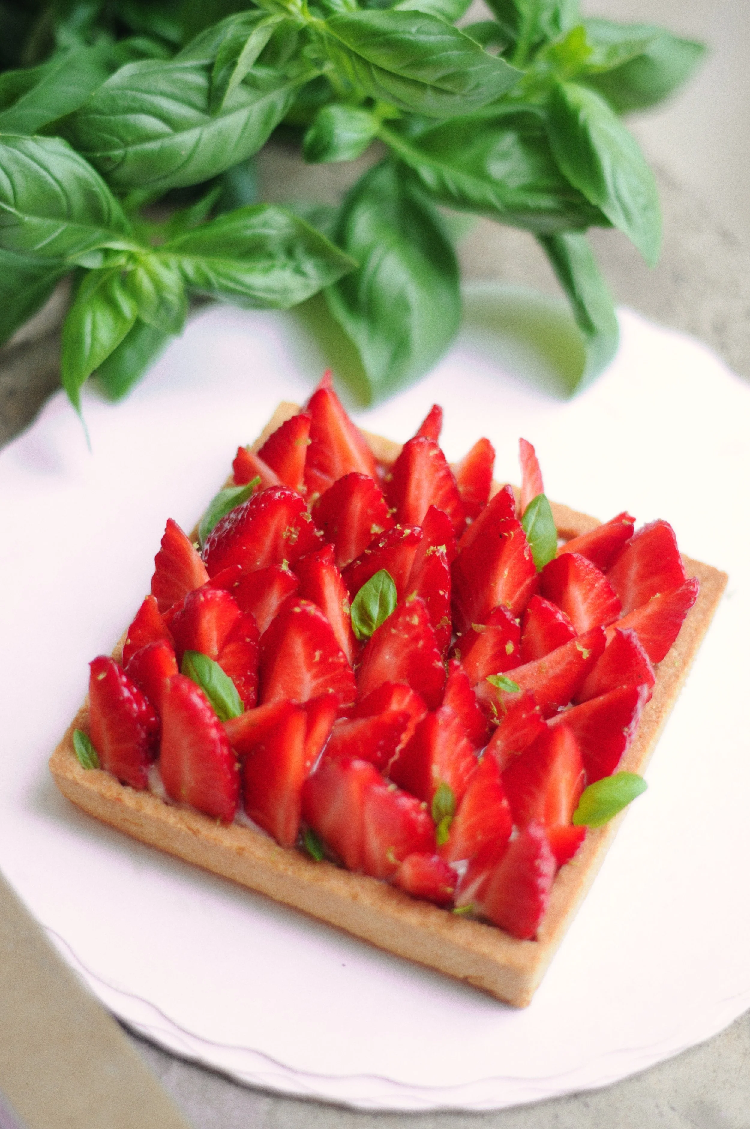 Tarte aux fraises sur une assiette blanche garnie de basilic.