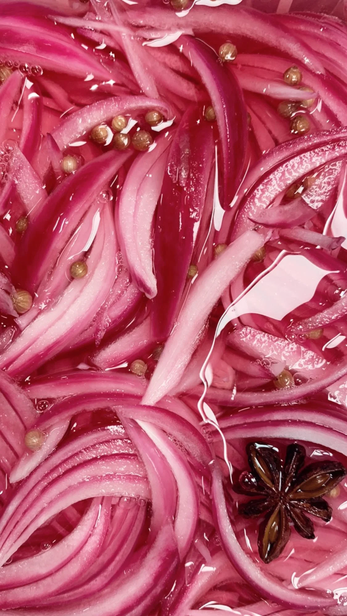 Oignons rouges avec des grains de poivre noir et une étoile d'anis.