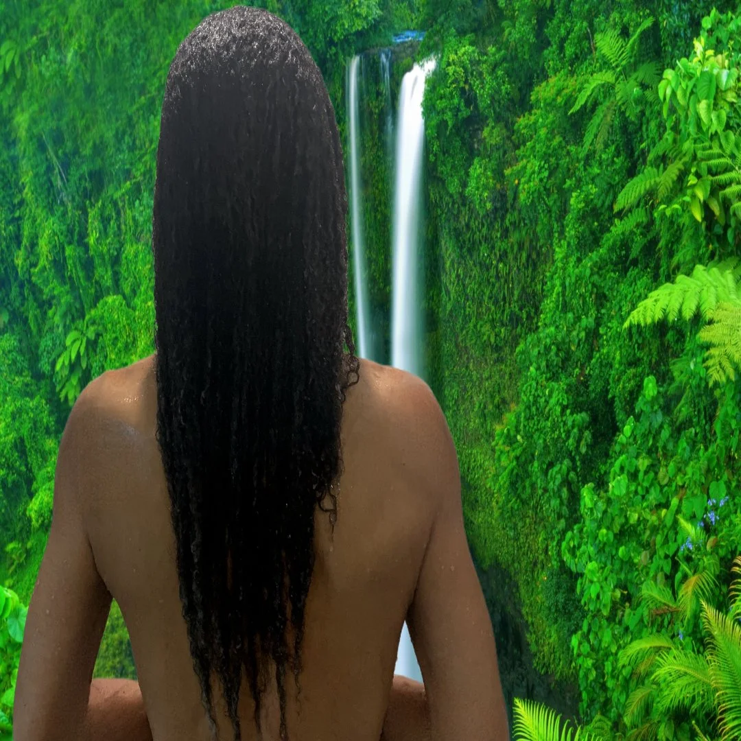 Person with long, wet, curly hair viewed from behind, sitting in front of lush green jungle with a waterfall in the background.