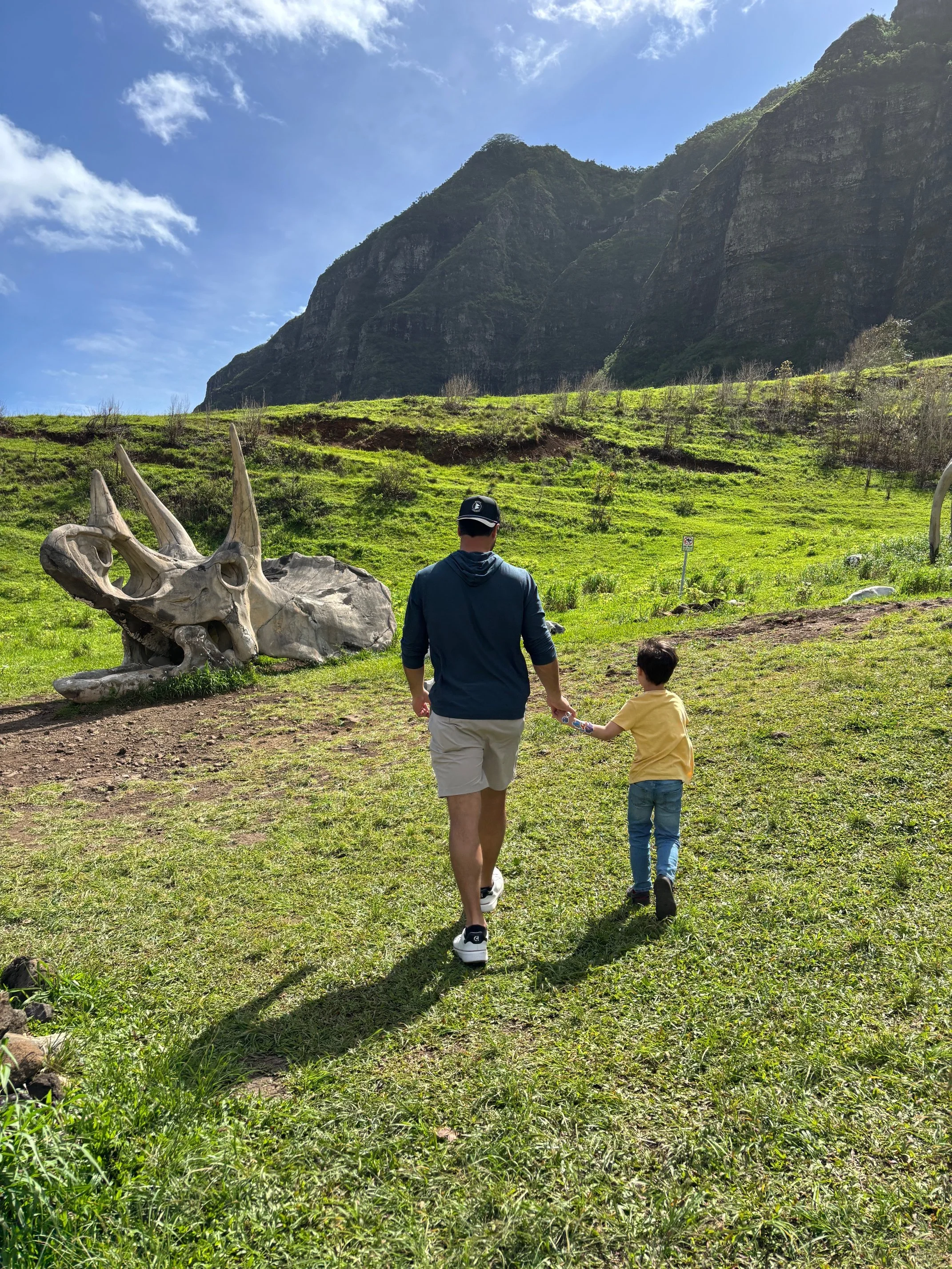 A man and a young boy walking hand in hand across a grassy field in front of large dinosaur skull sculptures, with green hills and mountains in the background under a blue sky with some clouds.