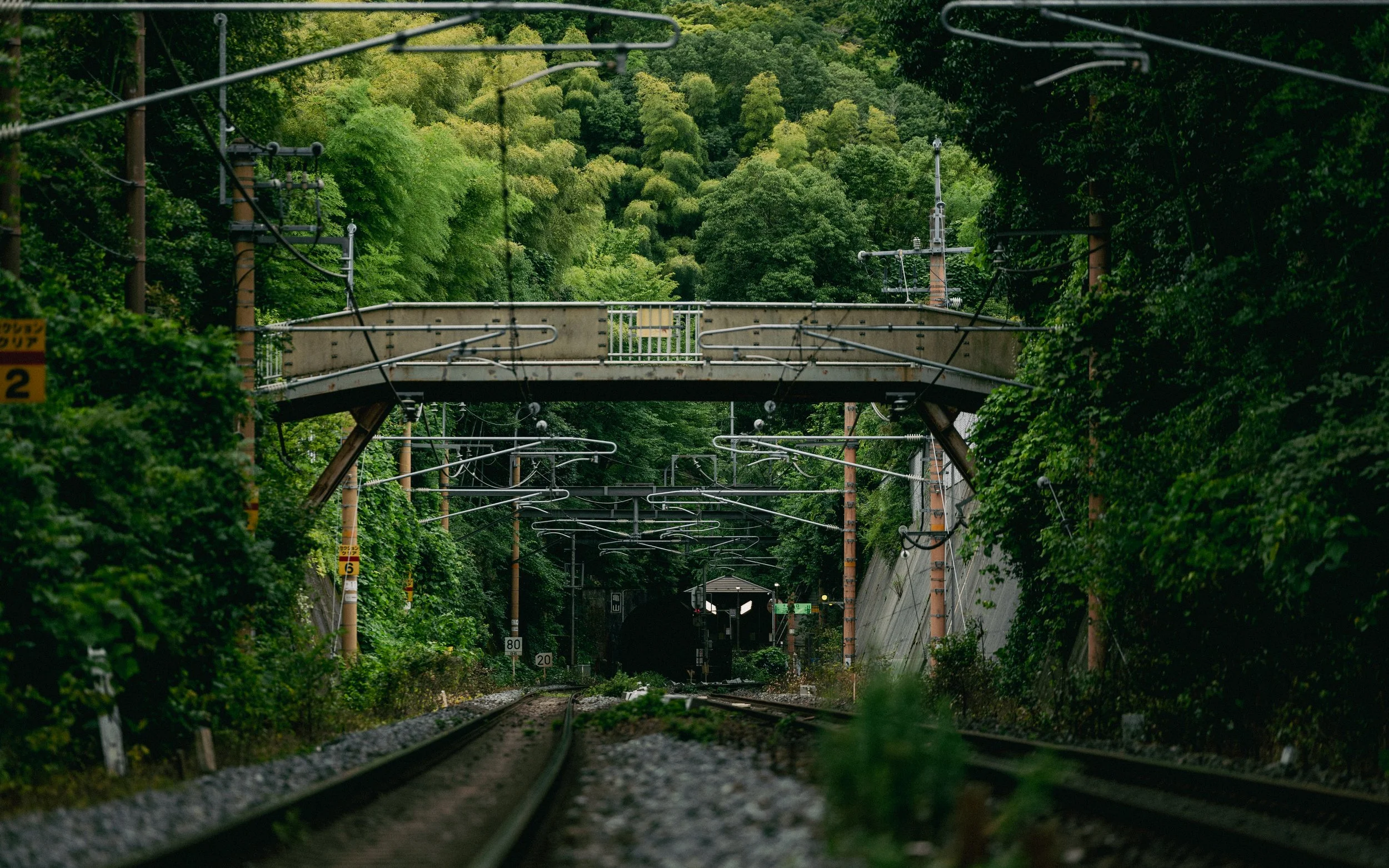 View of train tracks leading into a tunnel surrounded by lush green trees, with overhead electrical wires and a pedestrian bridge crossing above.