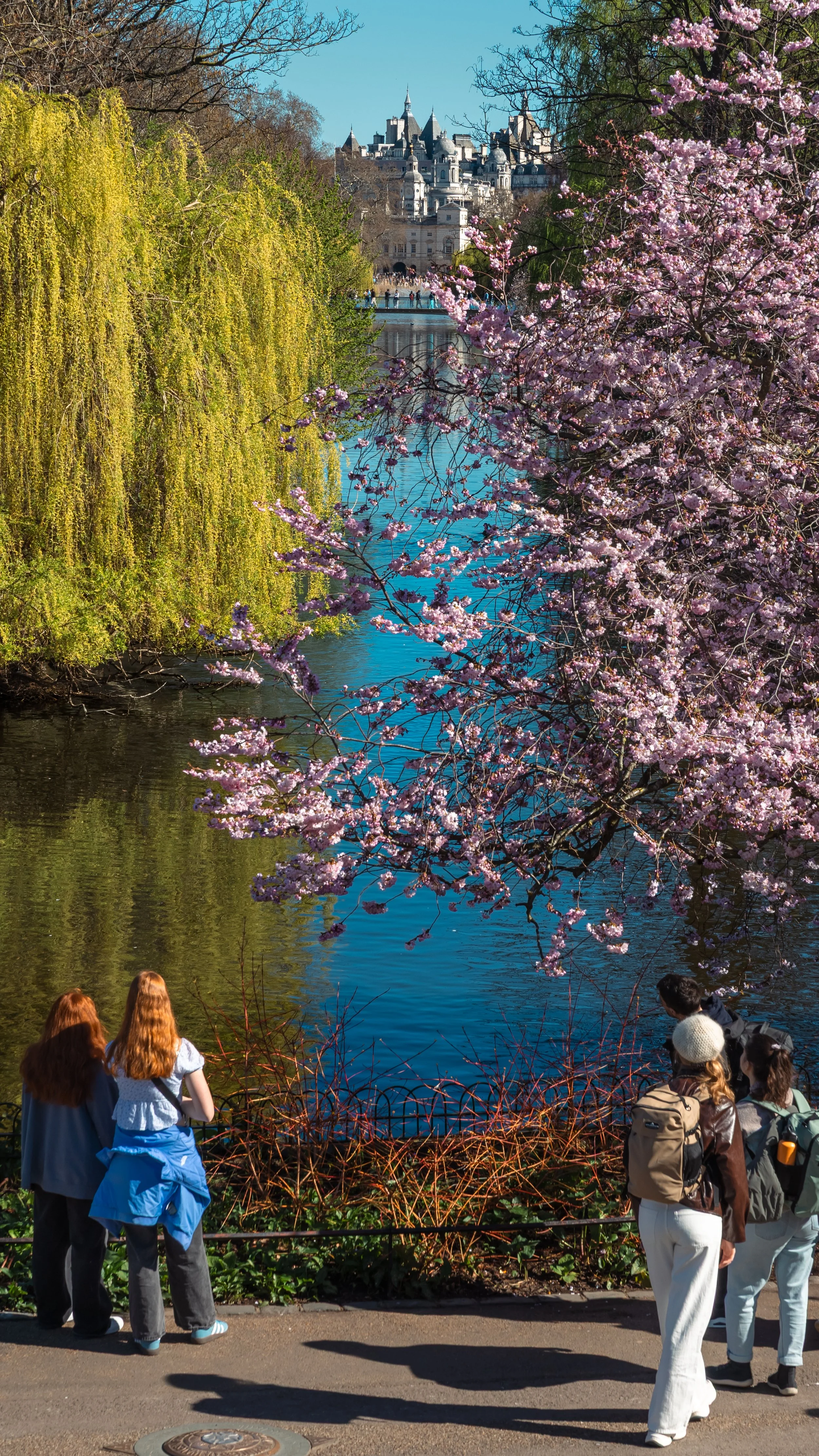 People sightseeing by a river with blossoming trees, and a castle in the background, likely during spring.