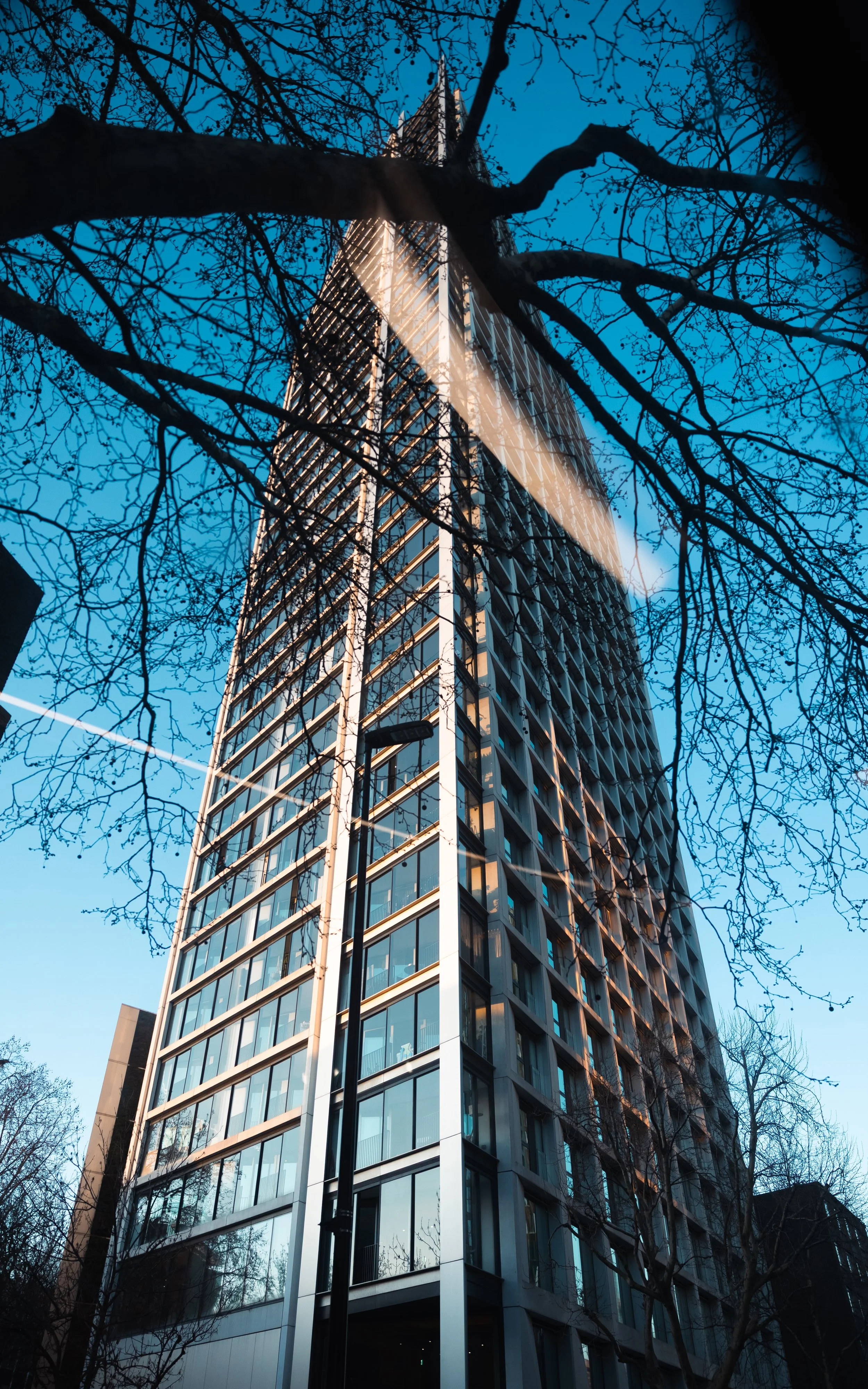 A modern glass skyscraper viewed from a low angle in the daytime, with leafless trees in the foreground and a clear blue sky in the background.
Taken in London