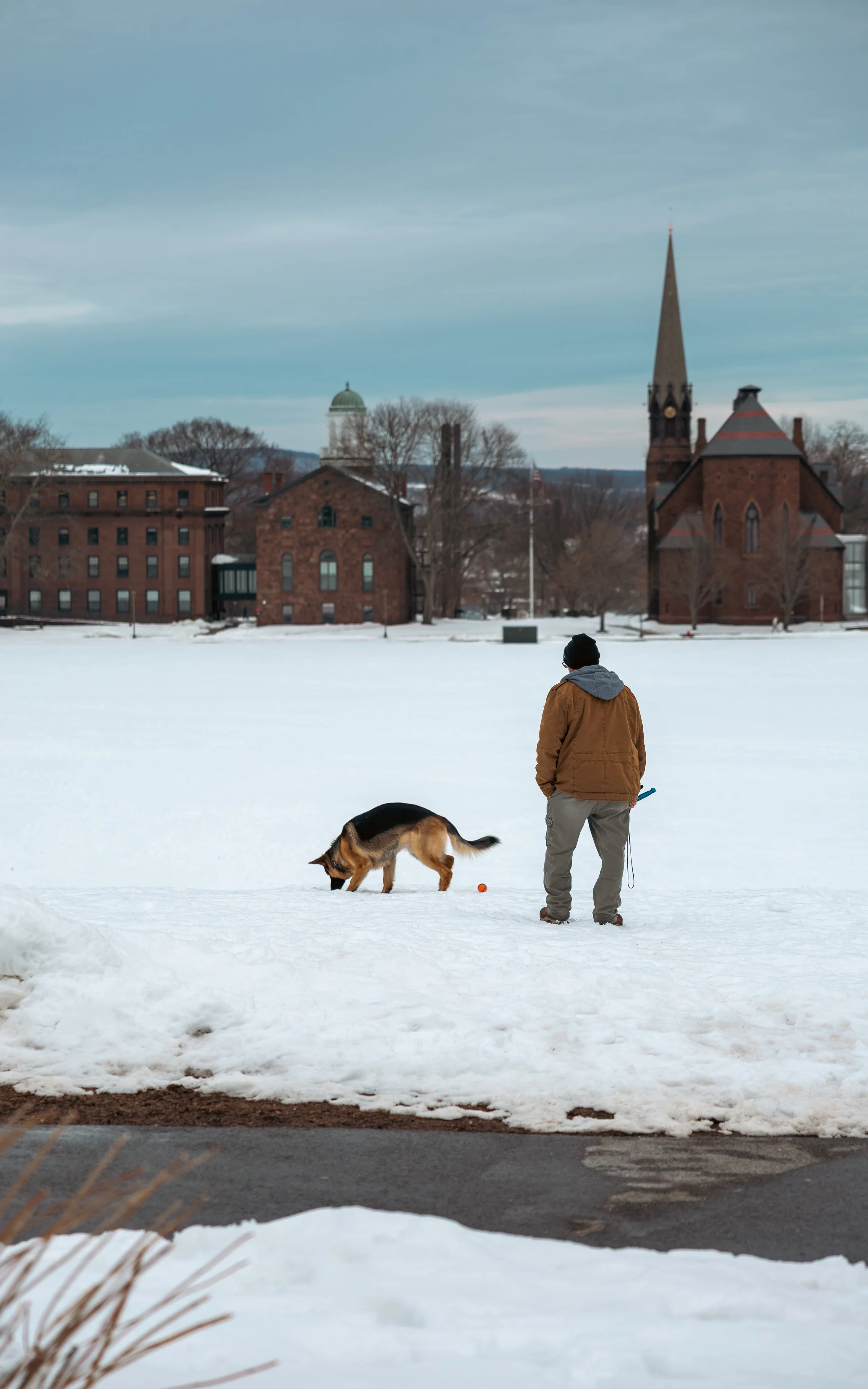 A person standing on snow in front of a German Shepherd dog sniffing the snow, with a ball nearby, on a snowy field with historic brick buildings and church steeples in the background.