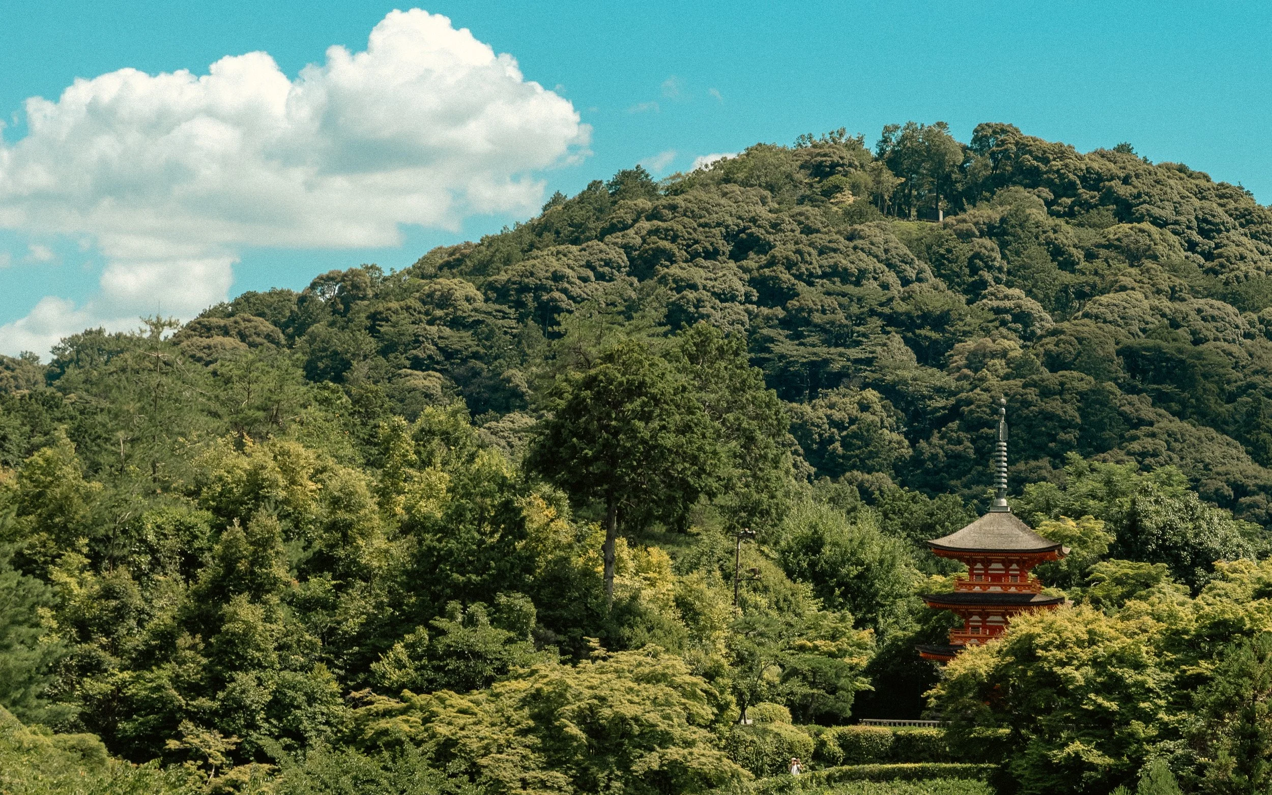 Lush green trees and a traditional multi-tiered pagoda in a forested mountainous area under a blue sky with scattered clouds.