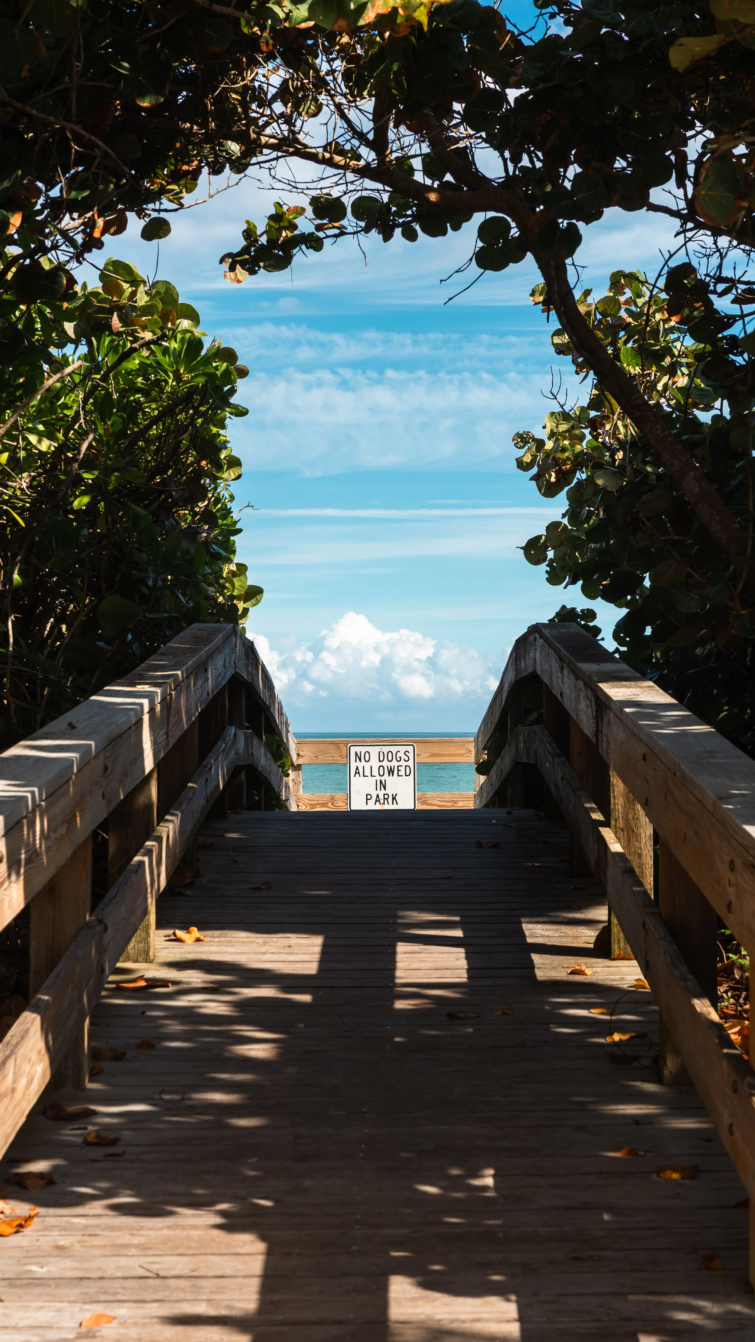 Wooden boardwalk leading to the beach, surrounded by lush green bushes, with a view of the blue sky and ocean in the background. There is a sign on the railing that says "No Dogs Allowed in Park."